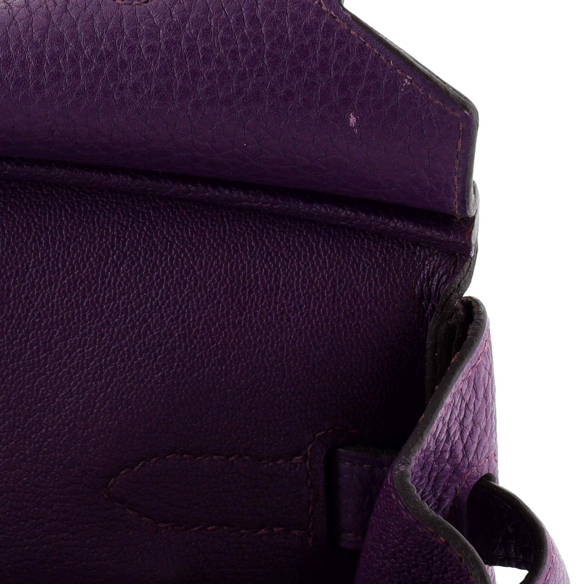 Hermes Birkin Handbag Ultraviolet Togo with Palladium Hardware 30 For Sale 4