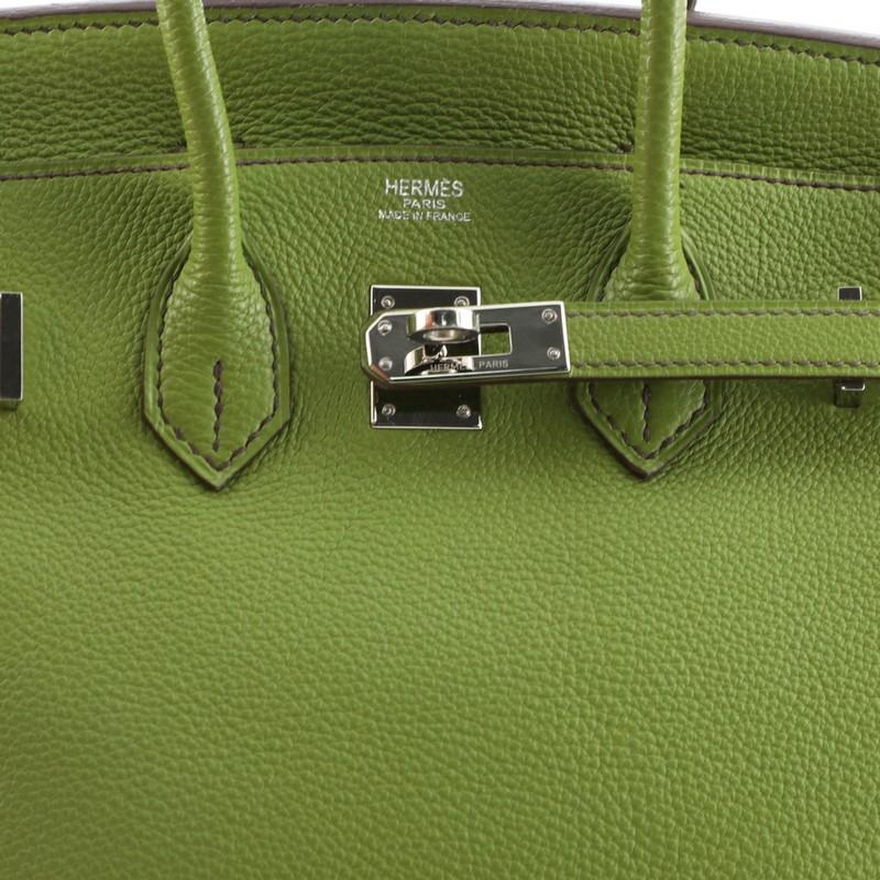 Hermes Birkin Handbag Vert Anis Togo With Palladium Hardware 25  1