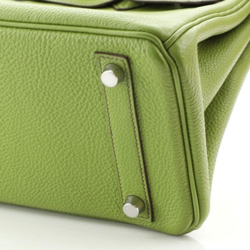 Hermes Birkin Handbag Vert Anis Togo With Palladium Hardware 25  2