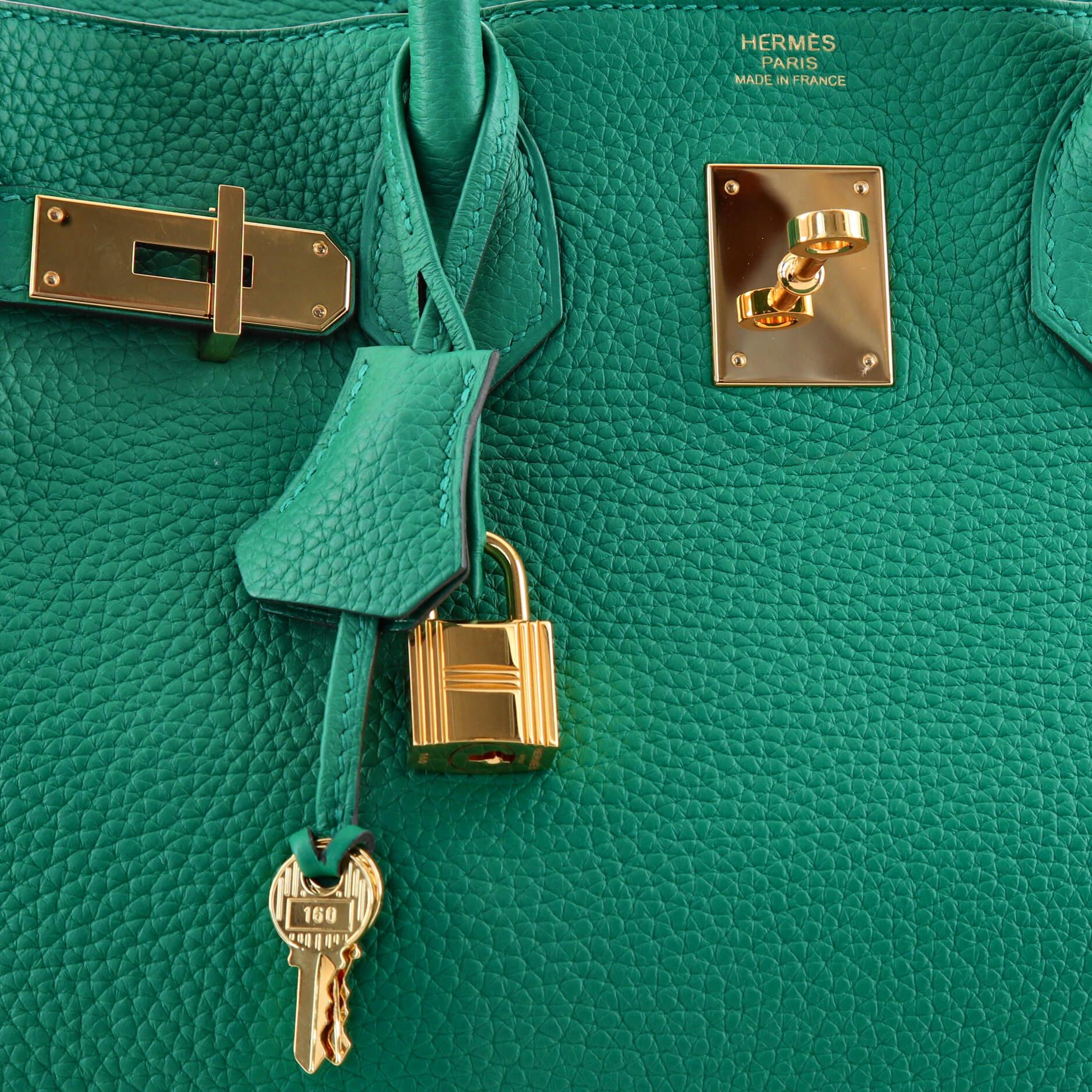 Hermes Birkin Handbag Vert Menthe Clemence with Gold Hardware 30 2