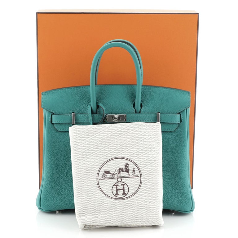 Hermes Birkin Handbag Vert Verone Togo With Palladium Hardware 25 at ...