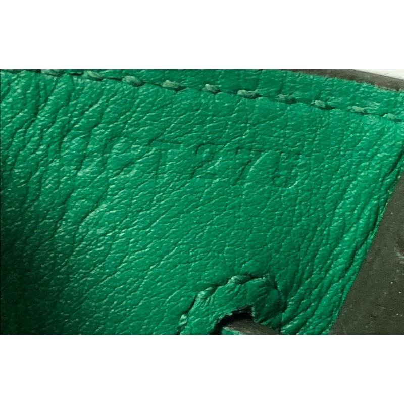 Hermes Birkin Handbag Vert Vertigo Swift With Palladium Hardware 25  3