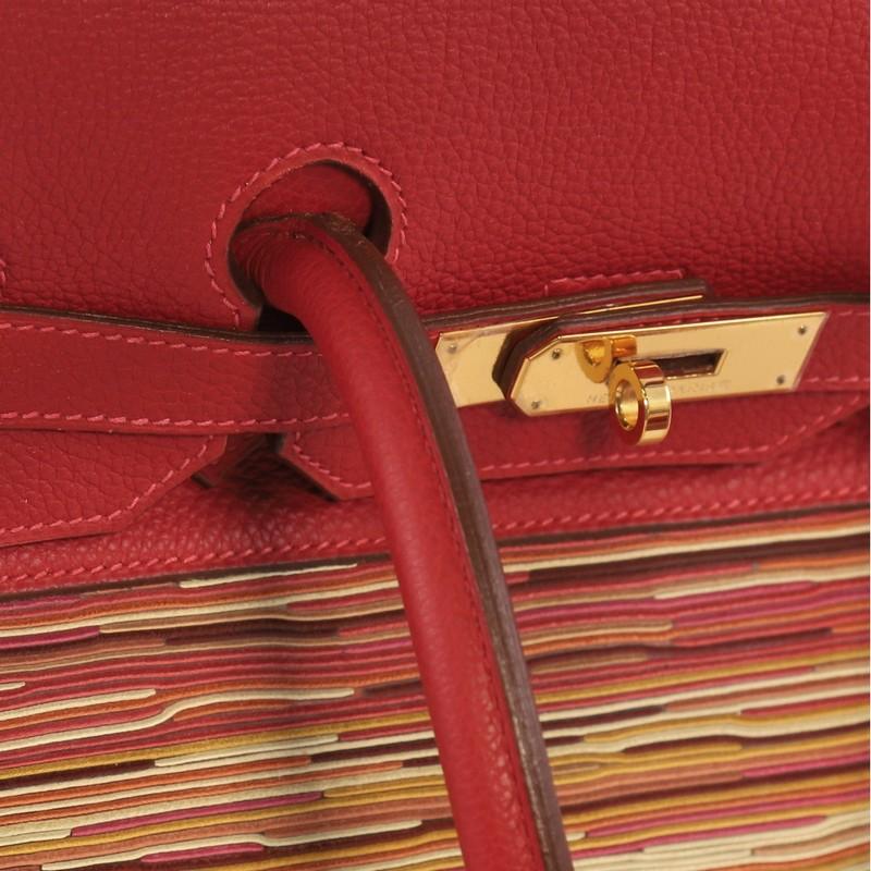 Hermes Birkin Handbag Vibrato and Togo 35 3