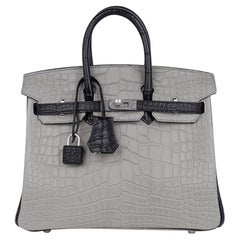 Hermes Birkin HSS 25 Bag Gris Perle / Black Matte Alligator Palladium Hardware