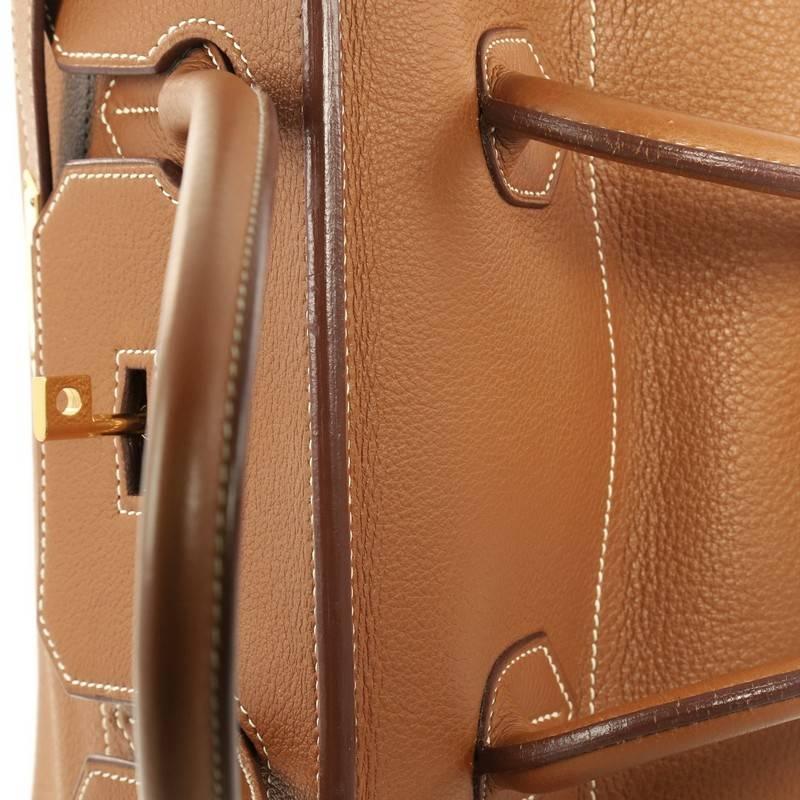 Hermes Birkin JPG Handbag Brown Clemence with Gold Hardware 42 2
