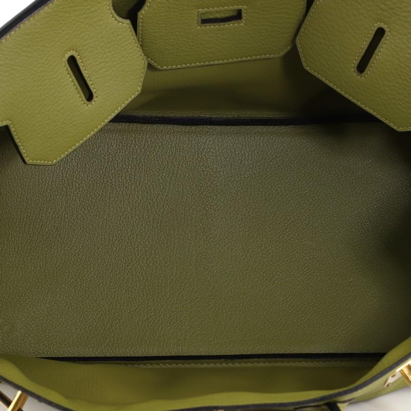 Hermes Birkin JPG Handbag Vert Chartreuse Clemence with Gold Hardware 42 1