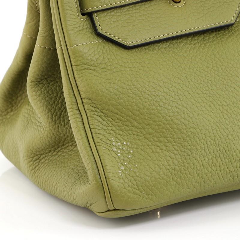 Hermes Birkin JPG Handbag Vert Chartreuse Clemence with Gold Hardware 42 3