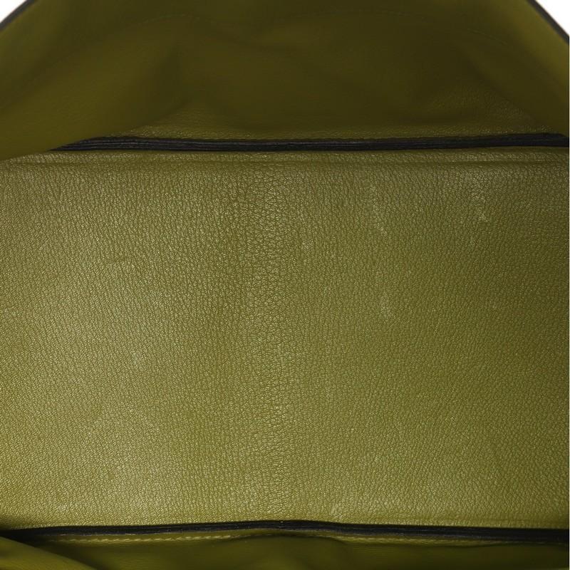 Hermes Birkin JPG Handbag Vert Chartreuse Clemence with Palladium Hardware 42 3