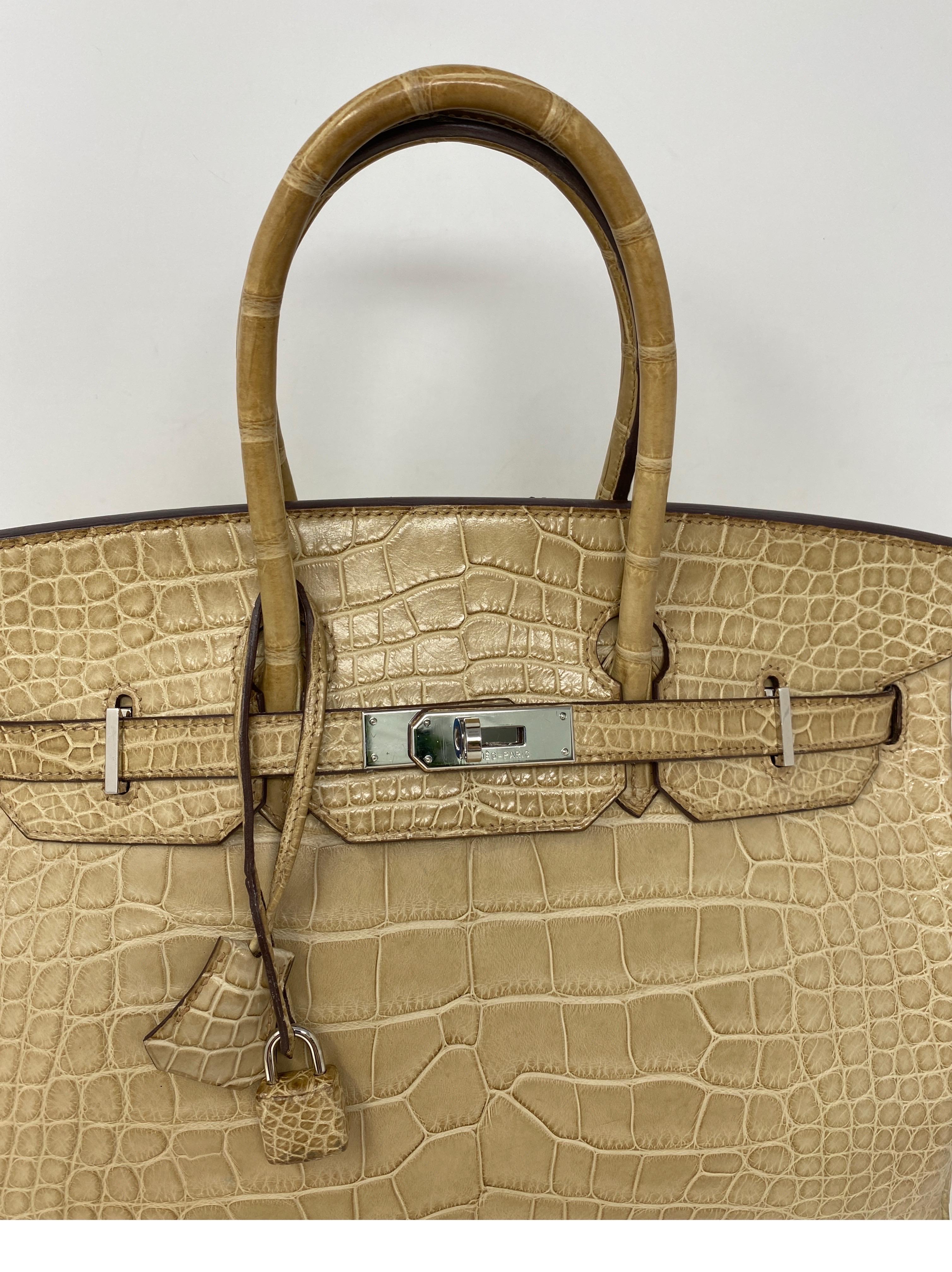 Hermes Birkin Matte Alligator Poussiere 35 Bag 8