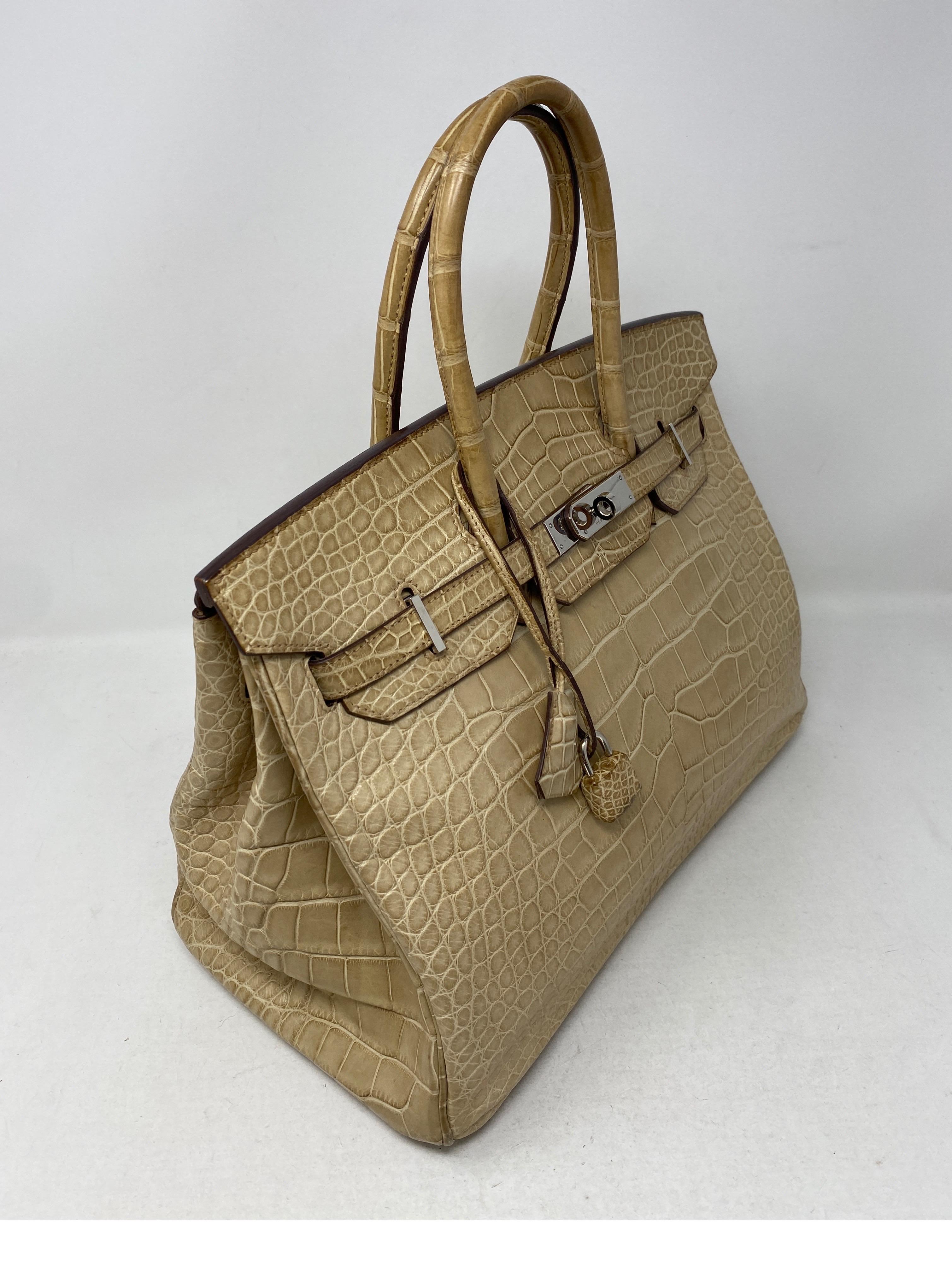 Hermes Birkin Matte Alligator Poussiere 35 Bag 9