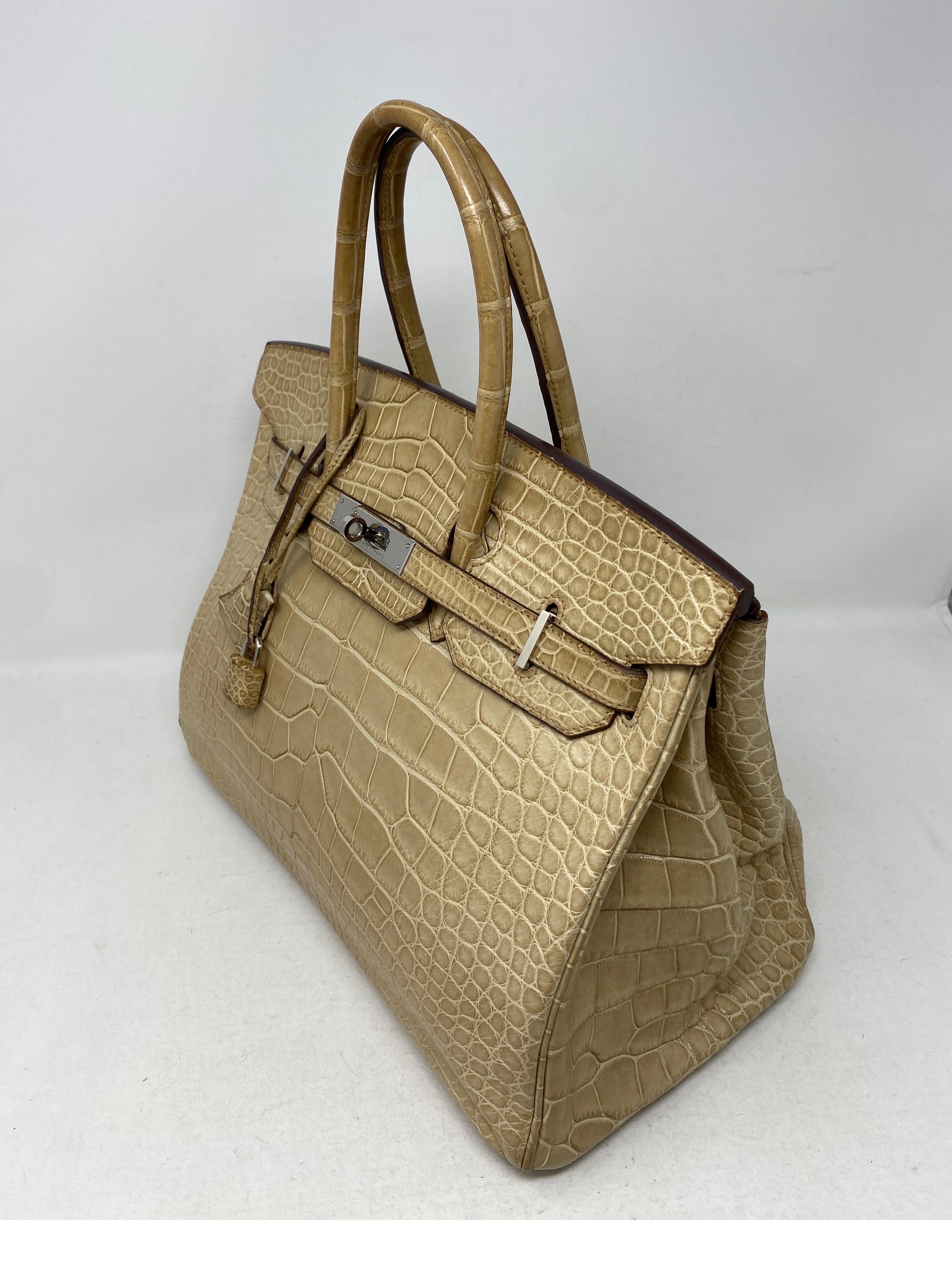 Hermes Birkin Matte Alligator Poussiere 35 Bag 10