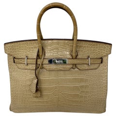 Hermes Birkin Matte Alligator Poussiere 35 Bag
