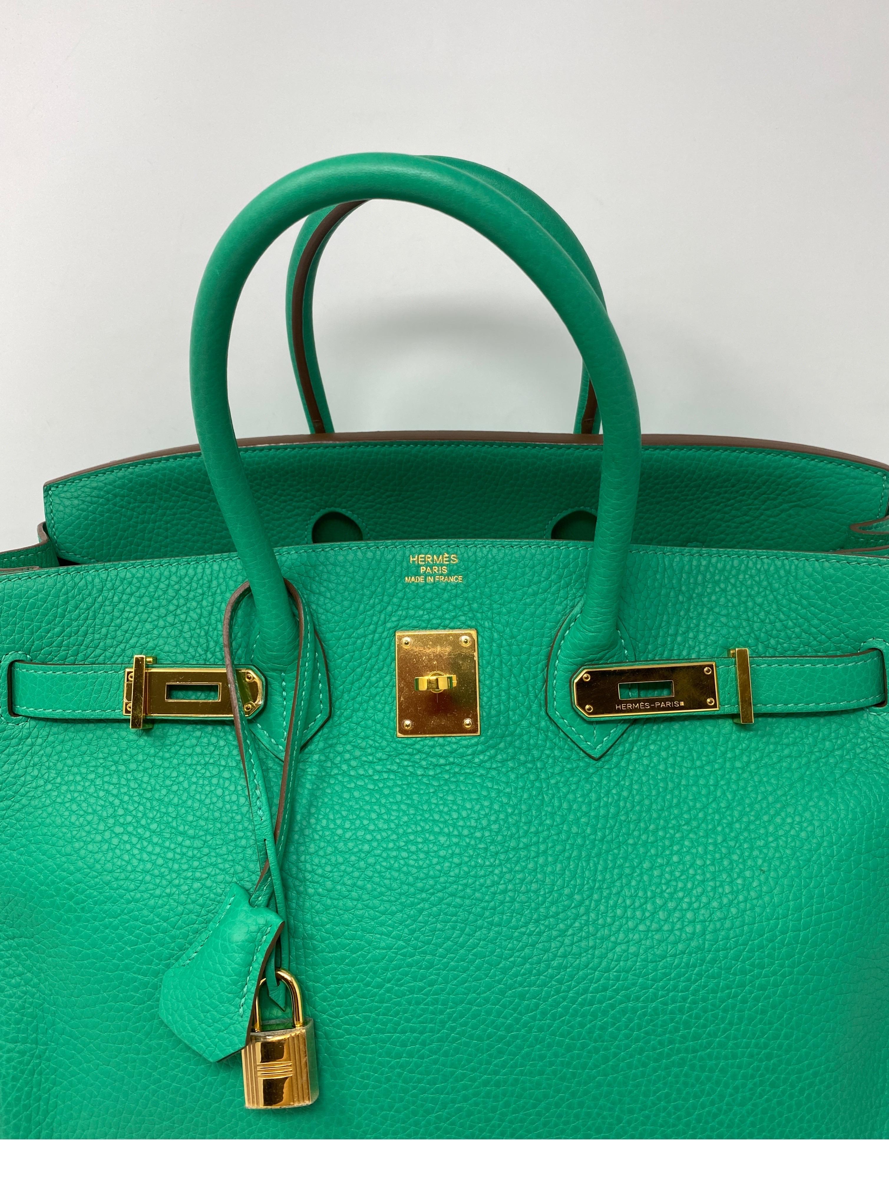 green birkin bag