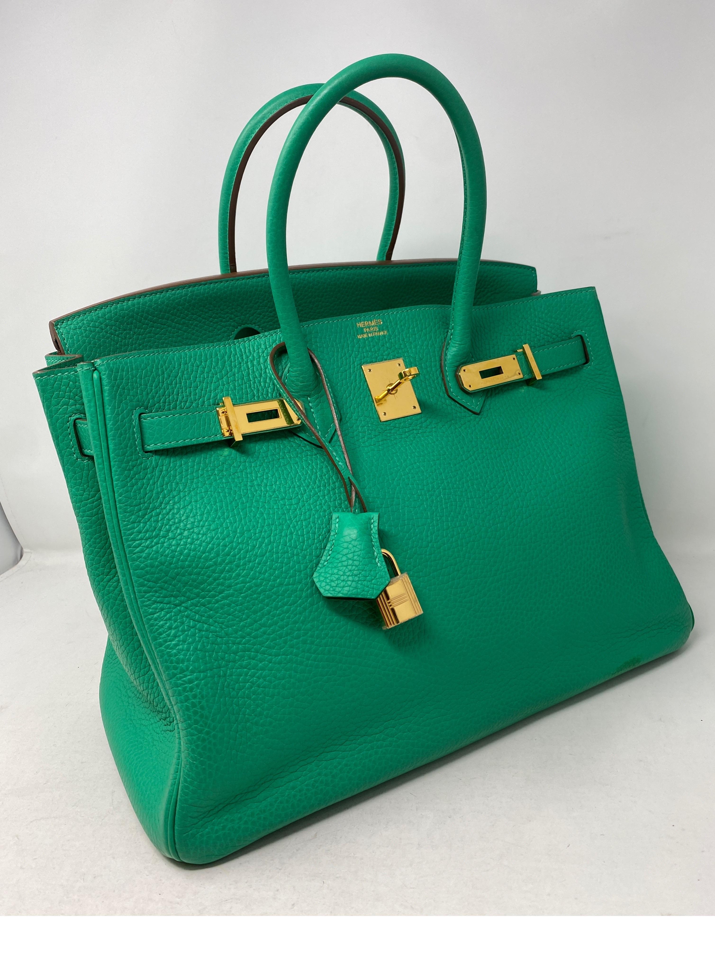 sea green birkin bag