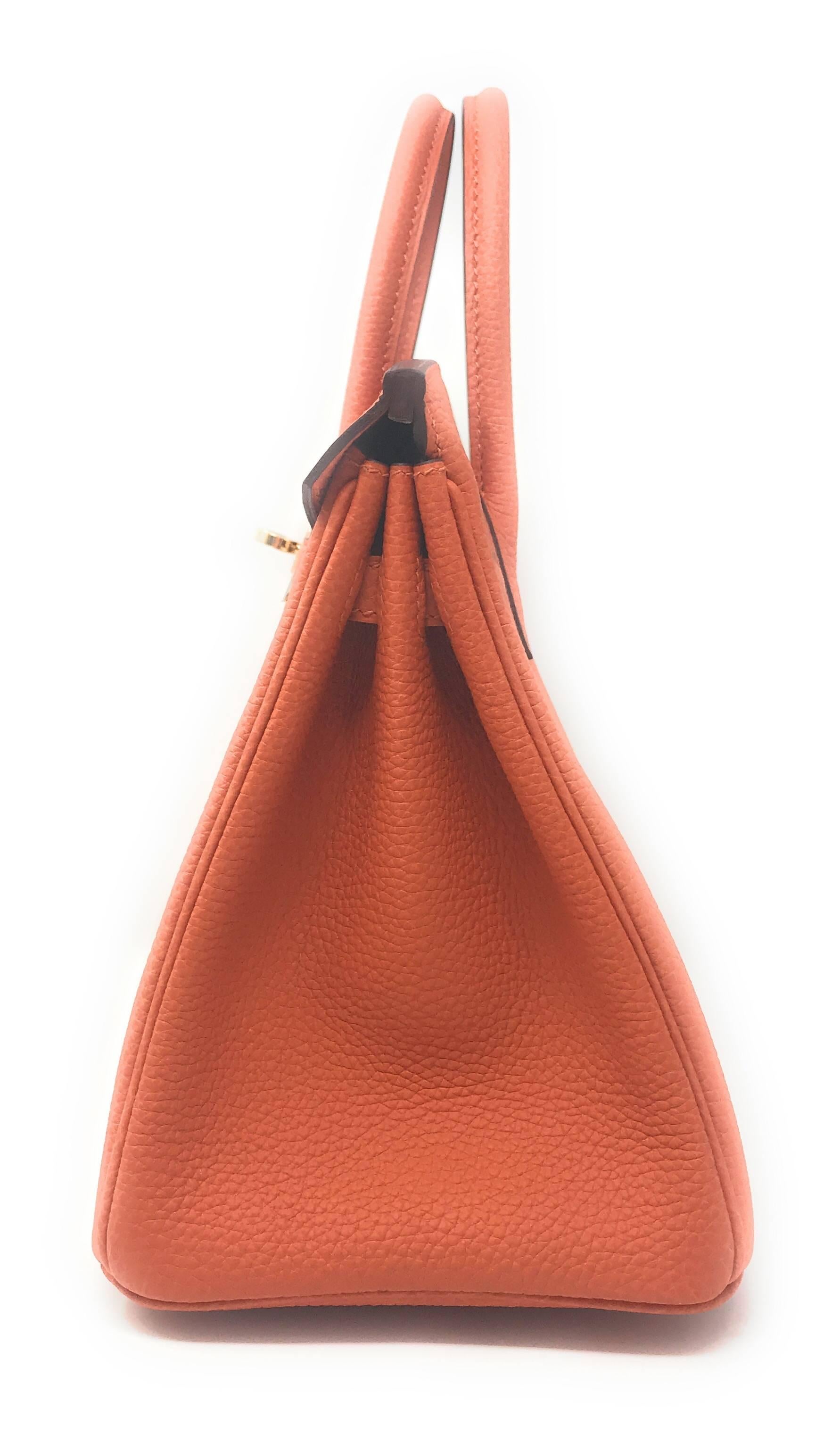 hermes birkin mini