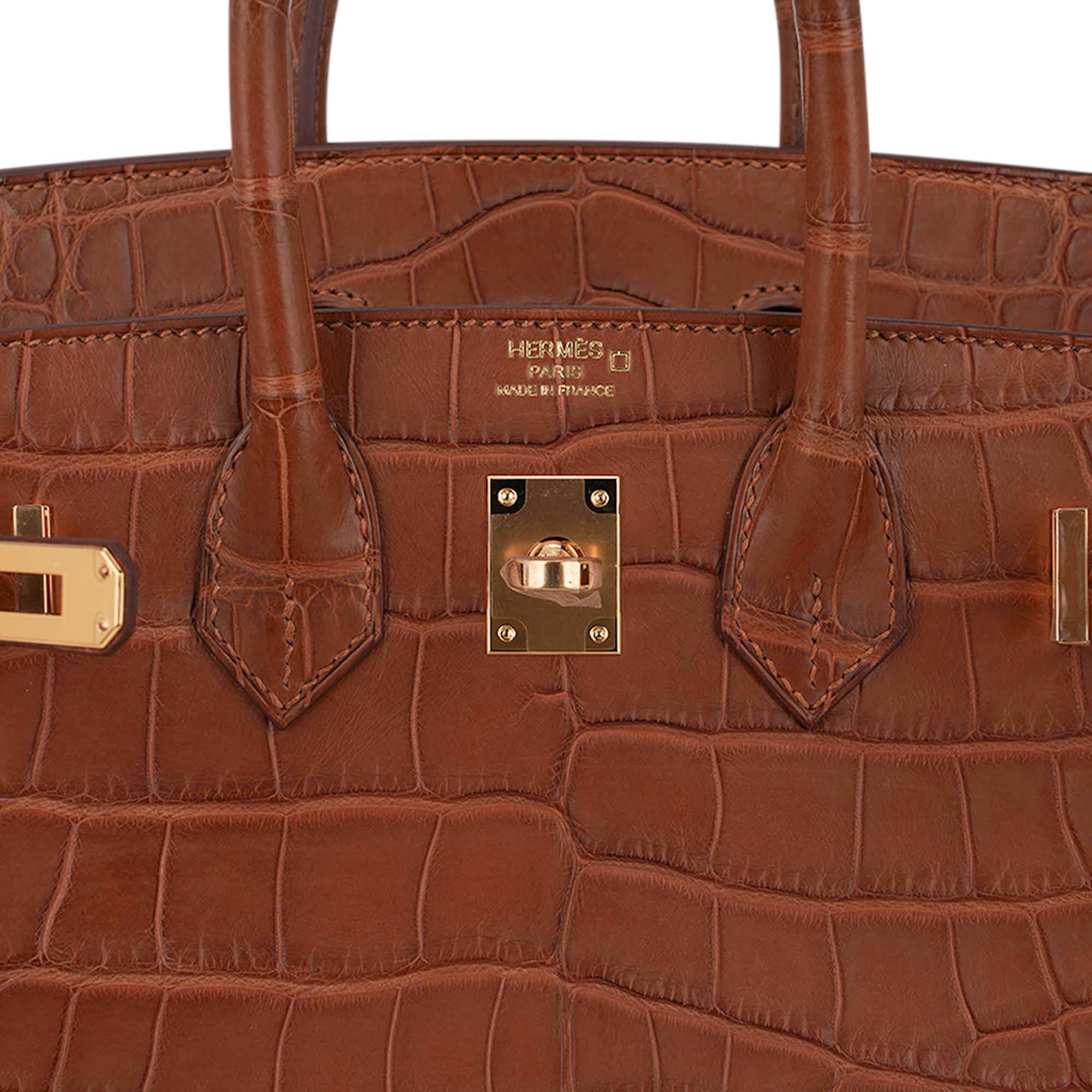 Hermes Birkin Sellier 25 Bag Gold Matte Alligator with Gold Hardware For Sale 3