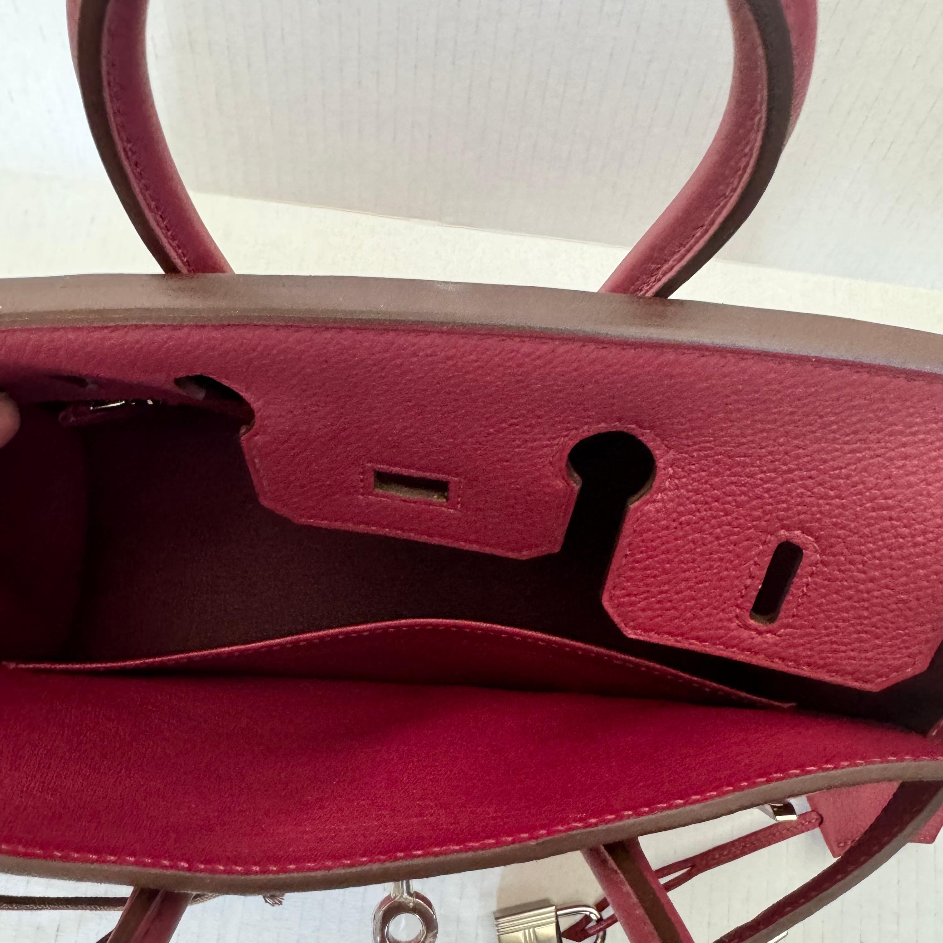 Hermes Birkin Sellier 25 Bag Palladium Hardware, 2024 France For Sale 5