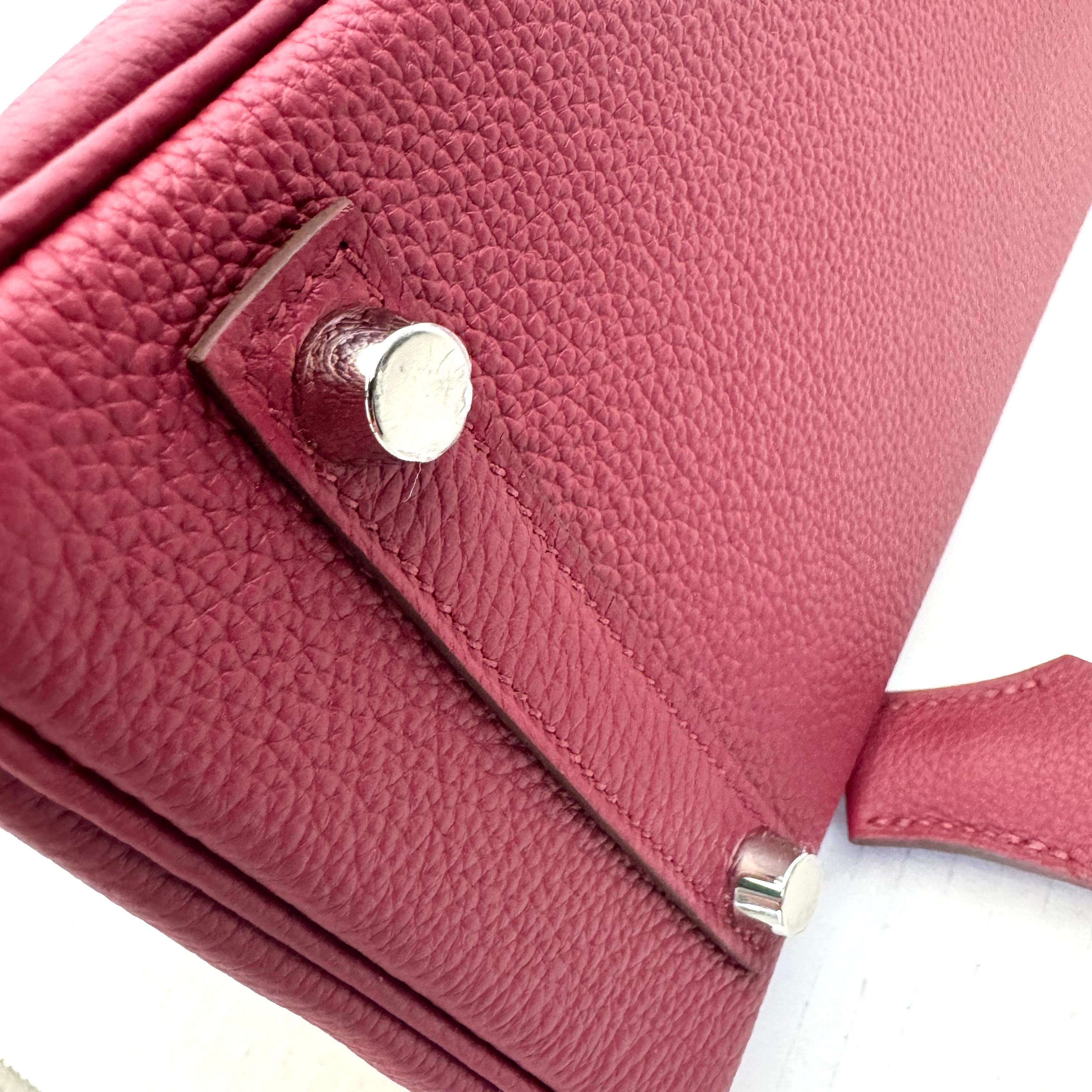 Hermes Birkin Sellier 25 Bag Palladium Hardware, 2024 France For Sale 6