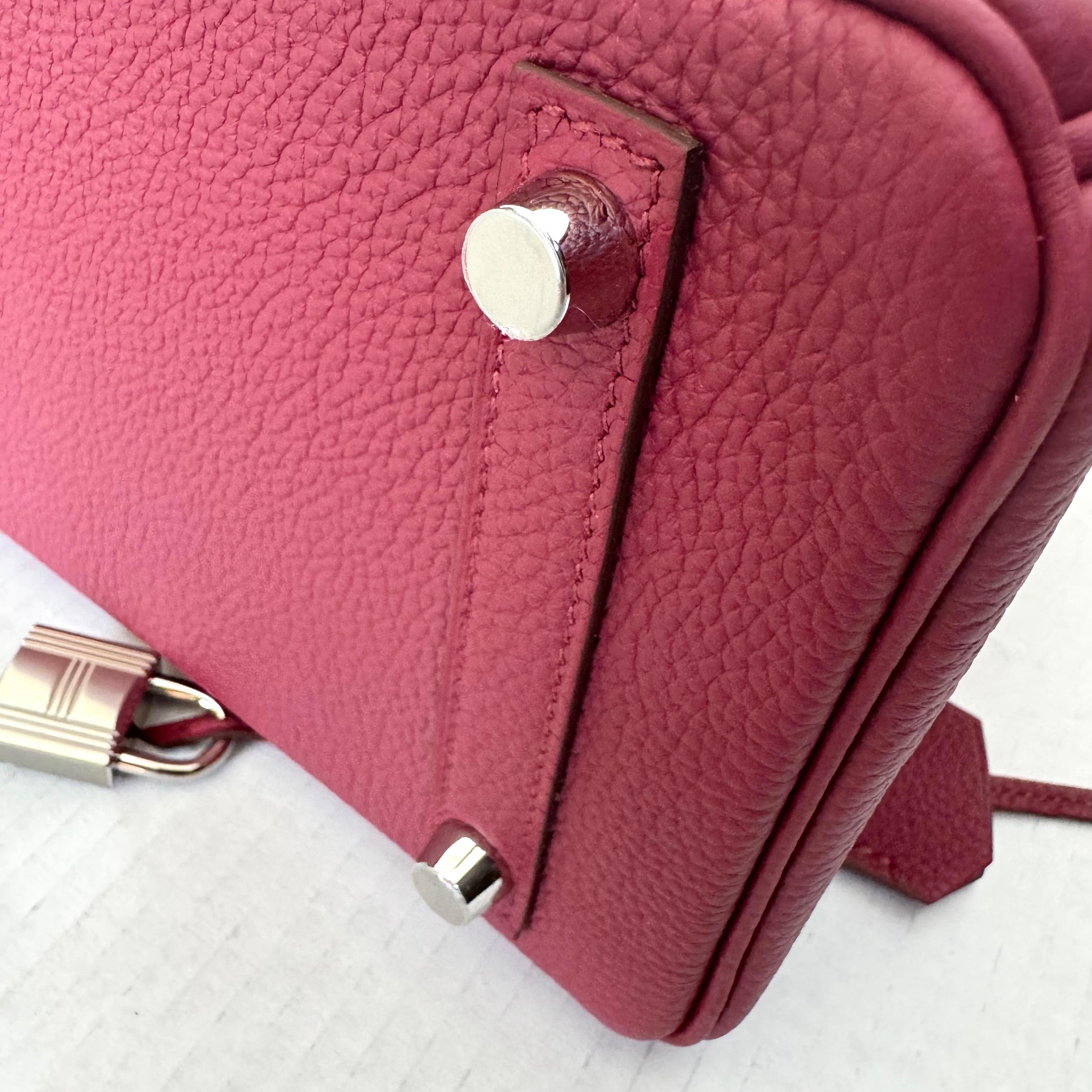 Hermes Birkin Sellier 25 Bag Palladium Hardware, 2024 France For Sale 7