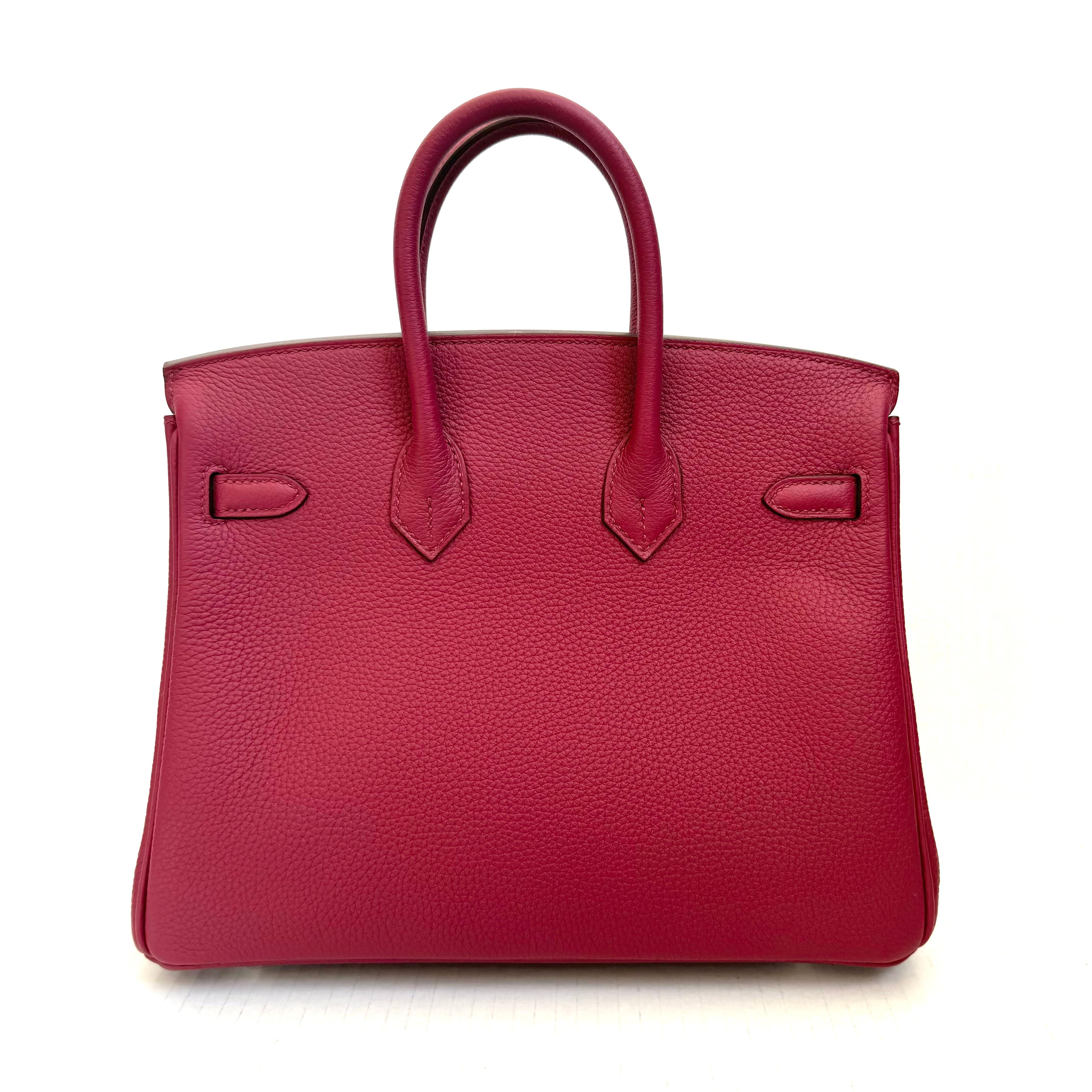 Hermes Birkin Sellier 25 Bag Palladium Hardware, 2024 France For Sale 1