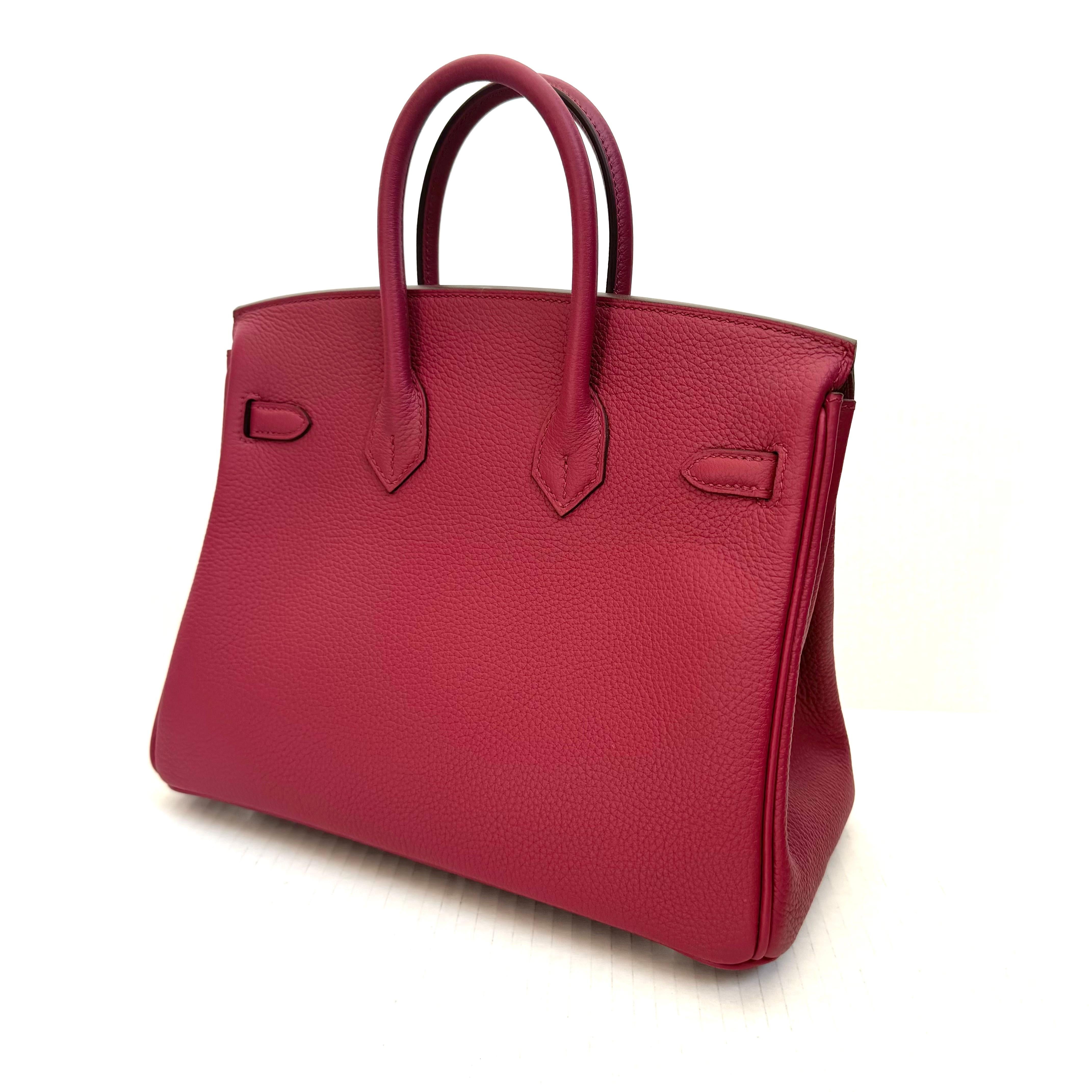 Hermes Birkin Sellier 25 Bag Palladium Hardware, 2024 France For Sale 2