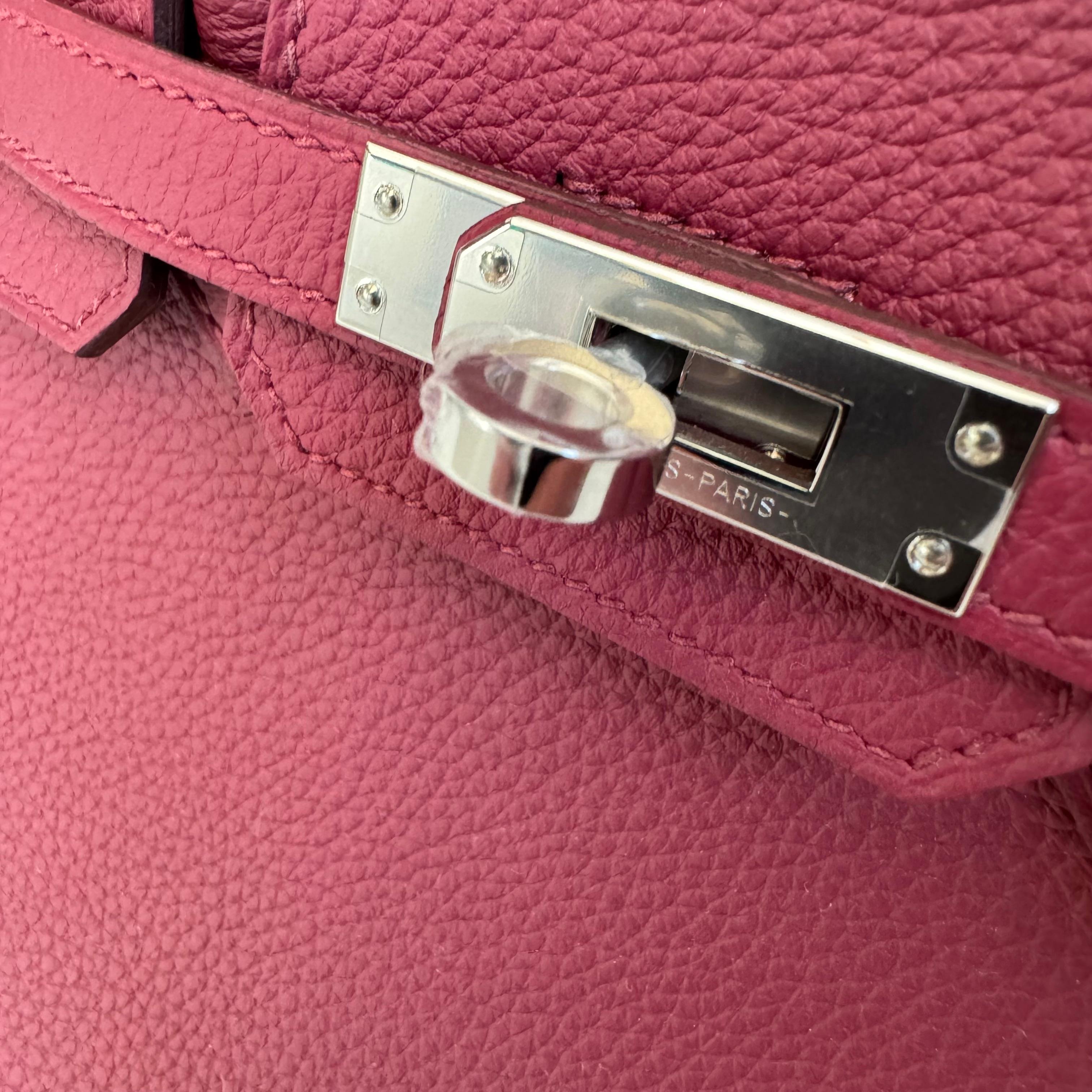 Hermes Birkin Sellier 25 Bag Palladium Hardware, 2024 France For Sale 3