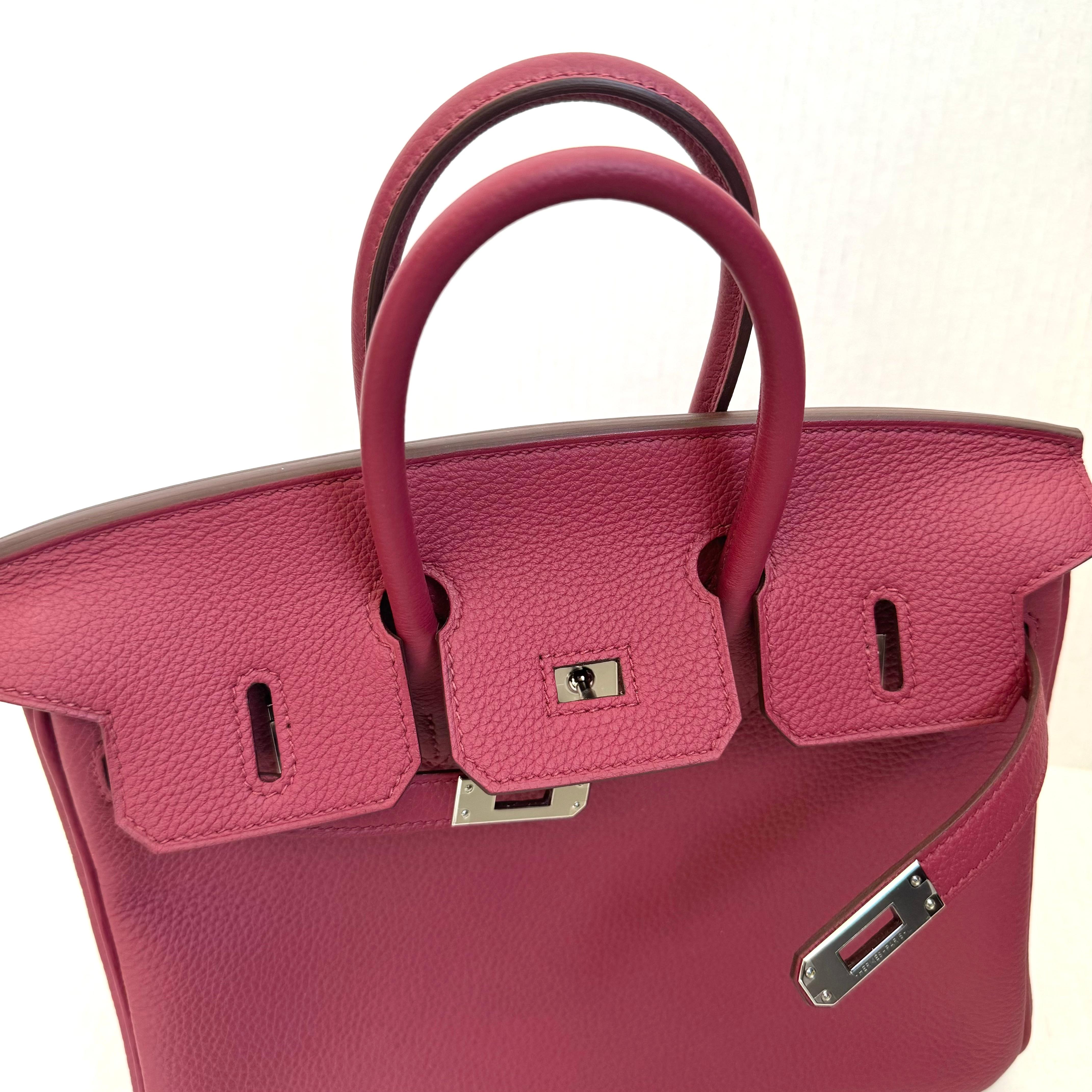 Hermes Birkin Sellier 25 Bag Palladium Hardware, 2024 France For Sale 4
