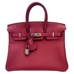 Hermes Birkin Sellier 25 Sac Palladium, 2024 France