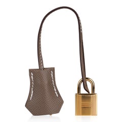 Hermes Birkin Sellier 25 Etoupe Gold Hardware Epsom Leather New w/Box