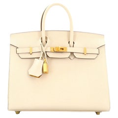 Hermes Birkin Sellier Bag Bicolor Epsom with Brushed Gold Hardware 25