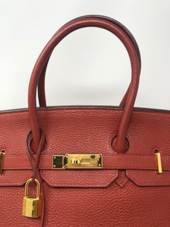 Hermes Birkin Sienne 35 Bag