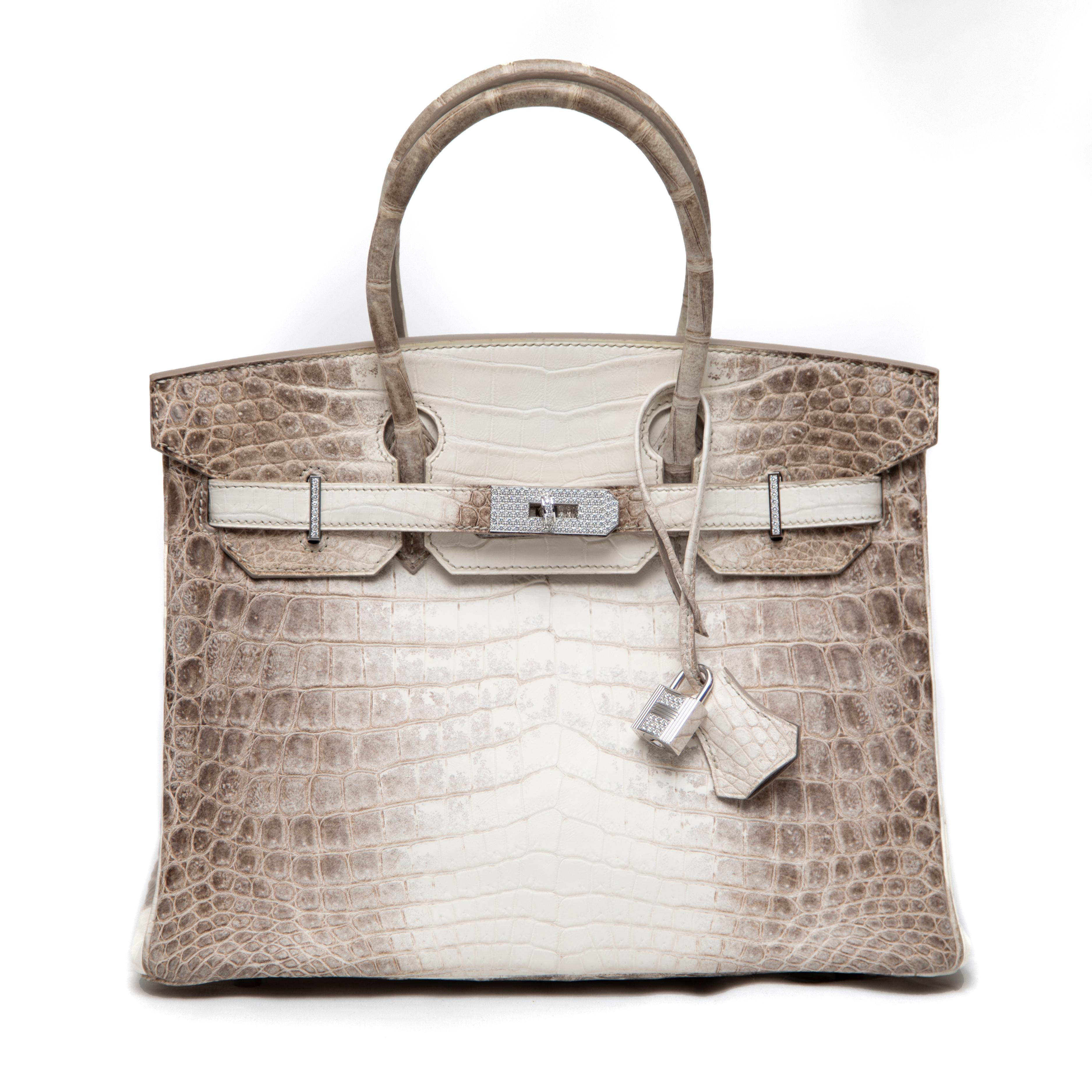Hermès Blanc Himalayan Birkin 30CM mit Diamant verkrustet 18k WG Hardware im Angebot 5
