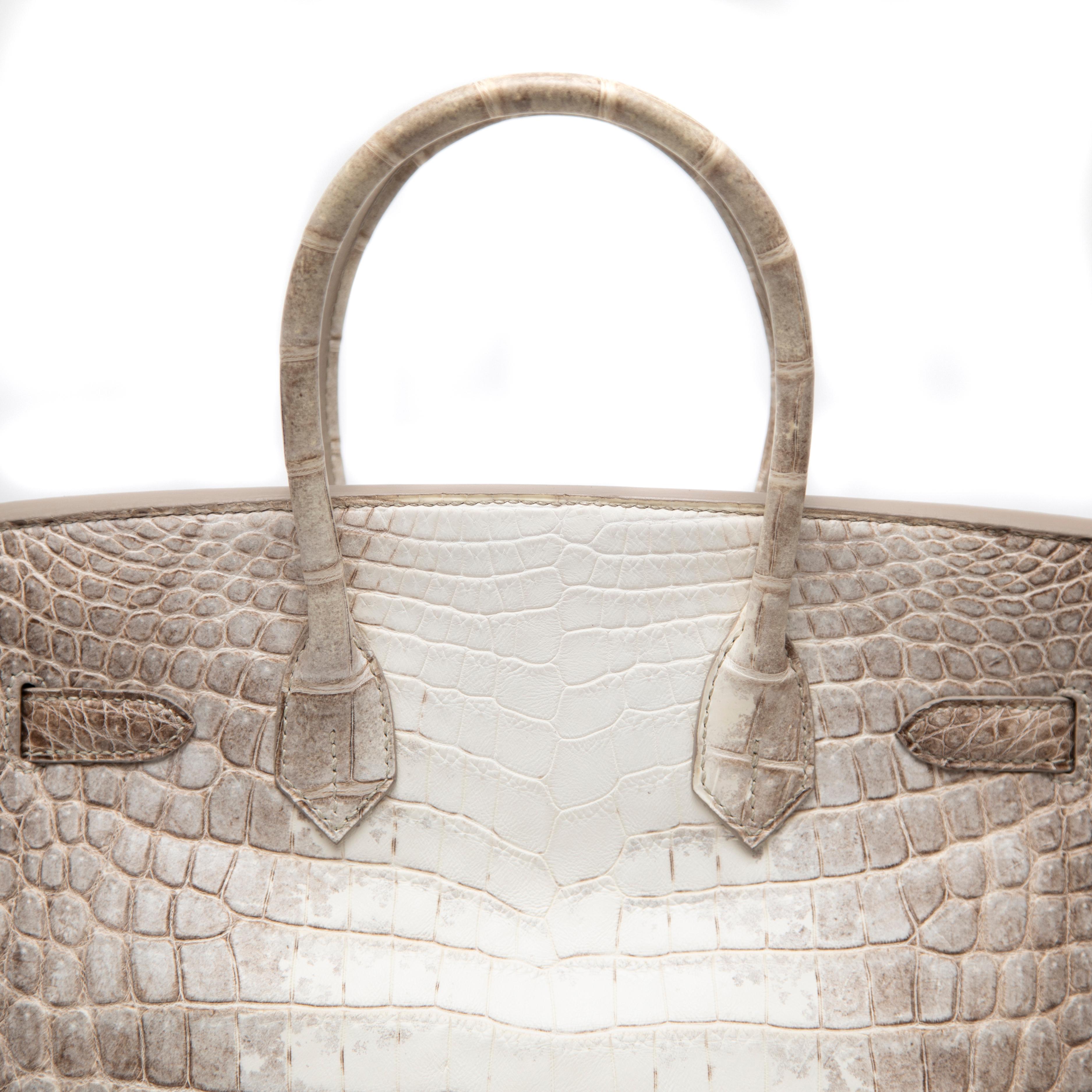 Hermès Blanc Himalayan Birkin 30CM mit Diamant verkrustet 18k WG Hardware im Angebot 8