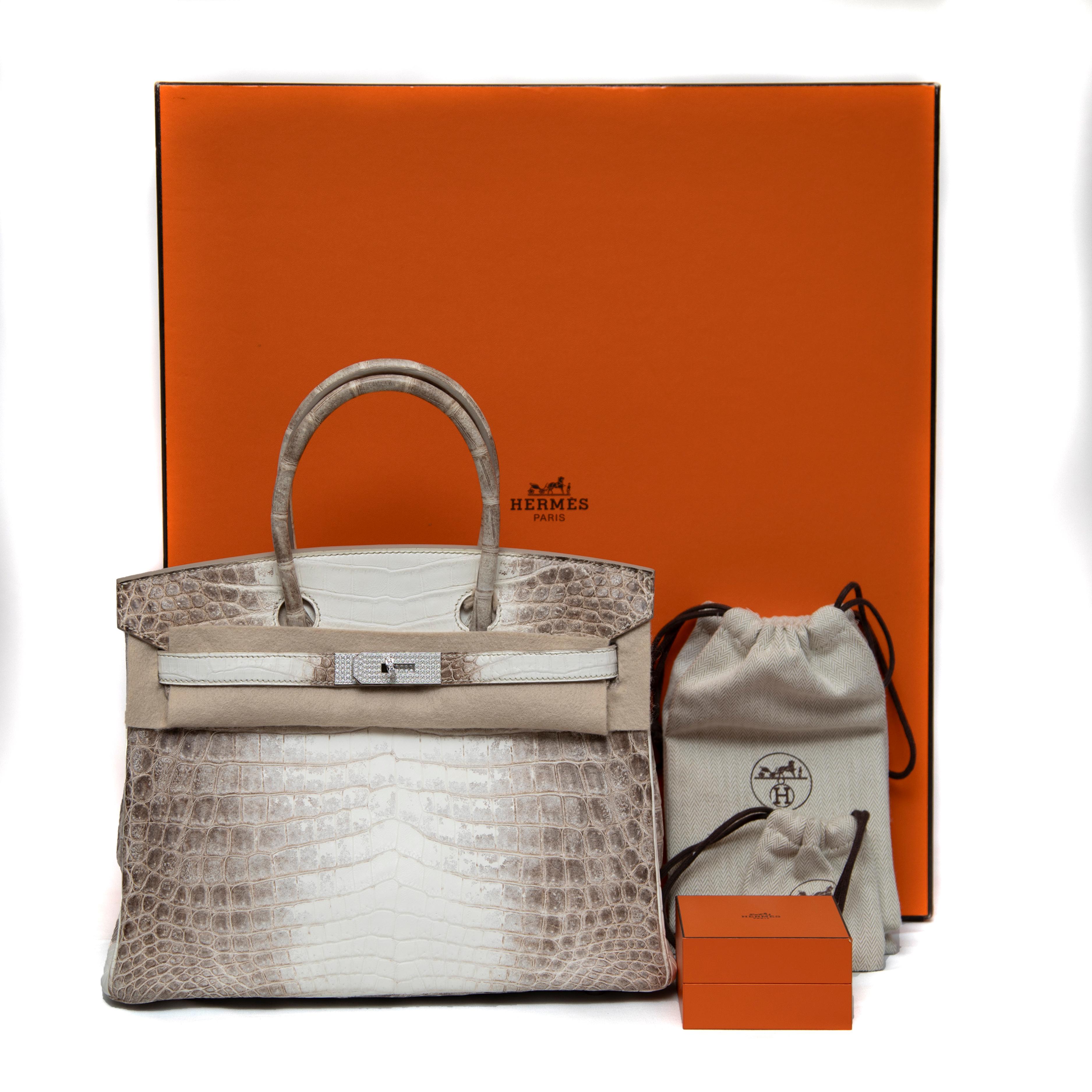 Hermès Blanc Himalayan Birkin 30CM mit Diamant verkrustet 18k WG Hardware im Angebot 14