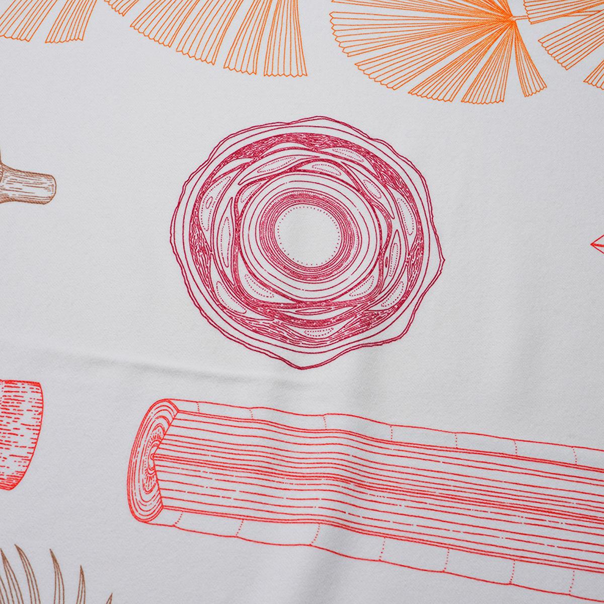 Hermes Blanket Palmarum Fortunei Pollen / Corail Cashmere and Wool 8