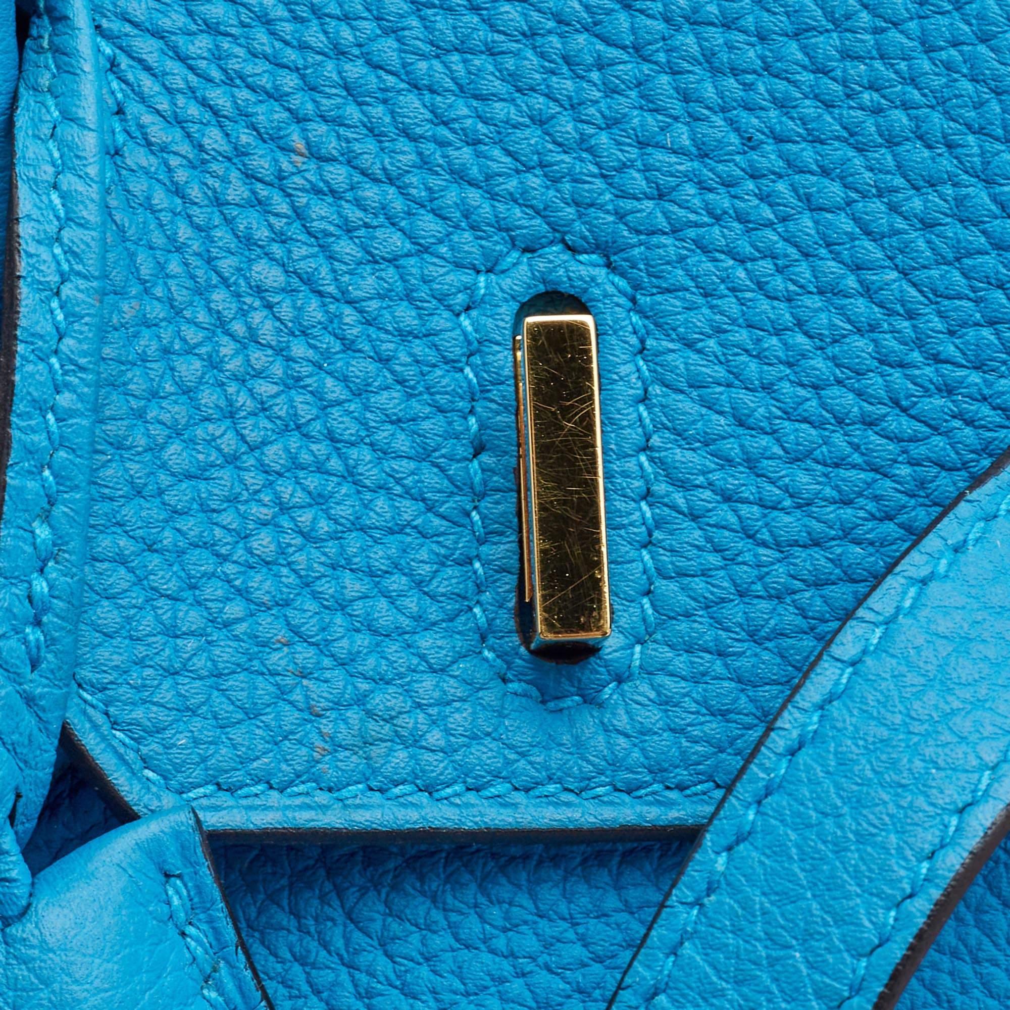 Hermes Bleu Frida Togo Leather Gold Finish Birkin 25 Bag 2
