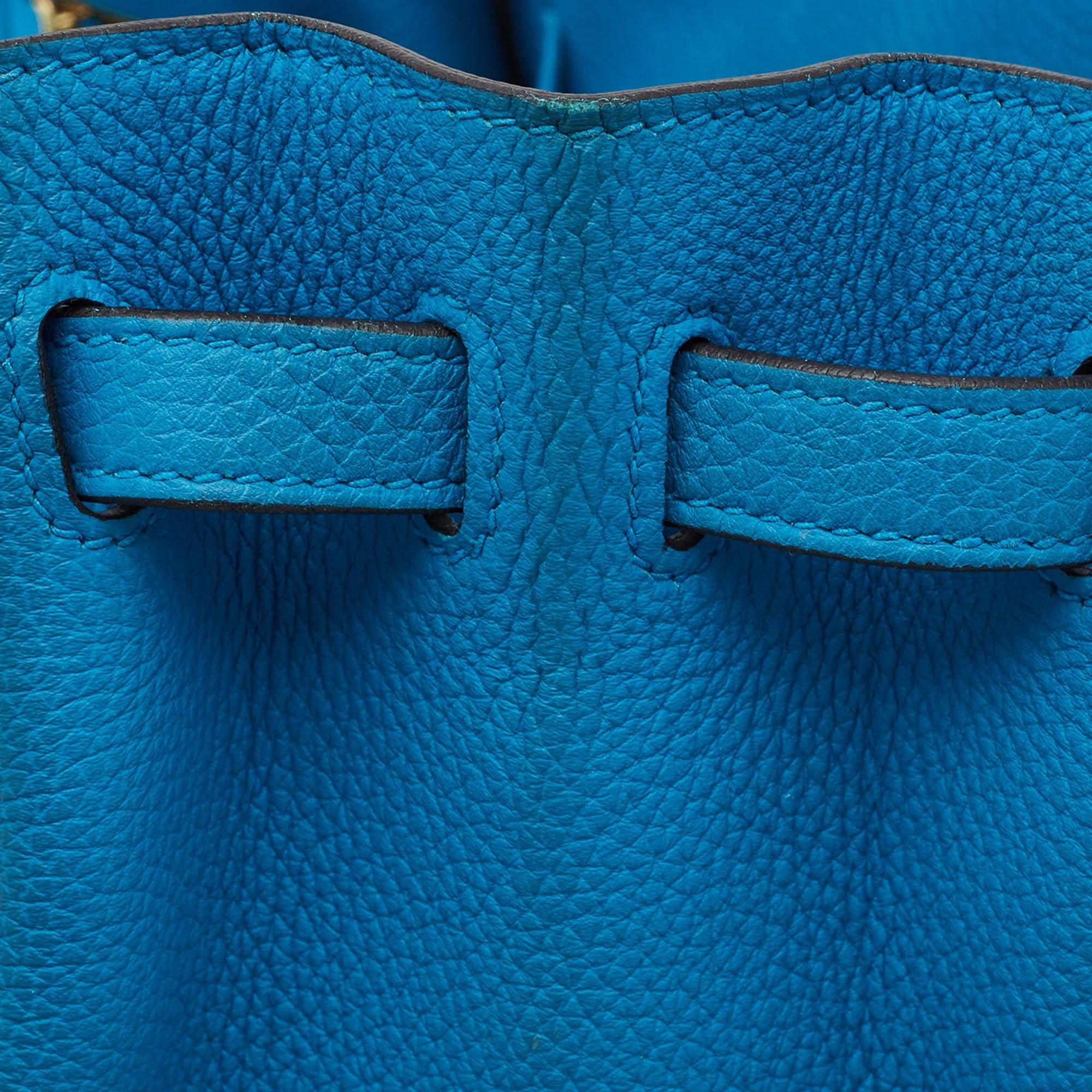 Hermes Bleu Frida Togo Leather Gold Finish Birkin 25 Bag 4