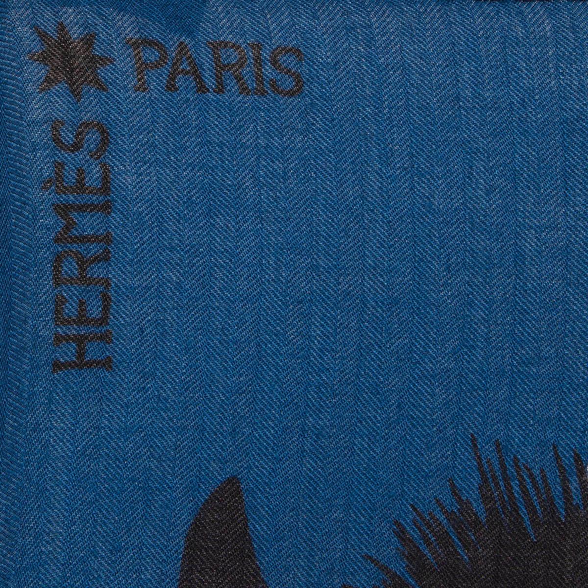 Women's or Men's HERMES blue cashmere silk ZEBRA PEGASE 140 Scarf Bleu Vert Ivoire