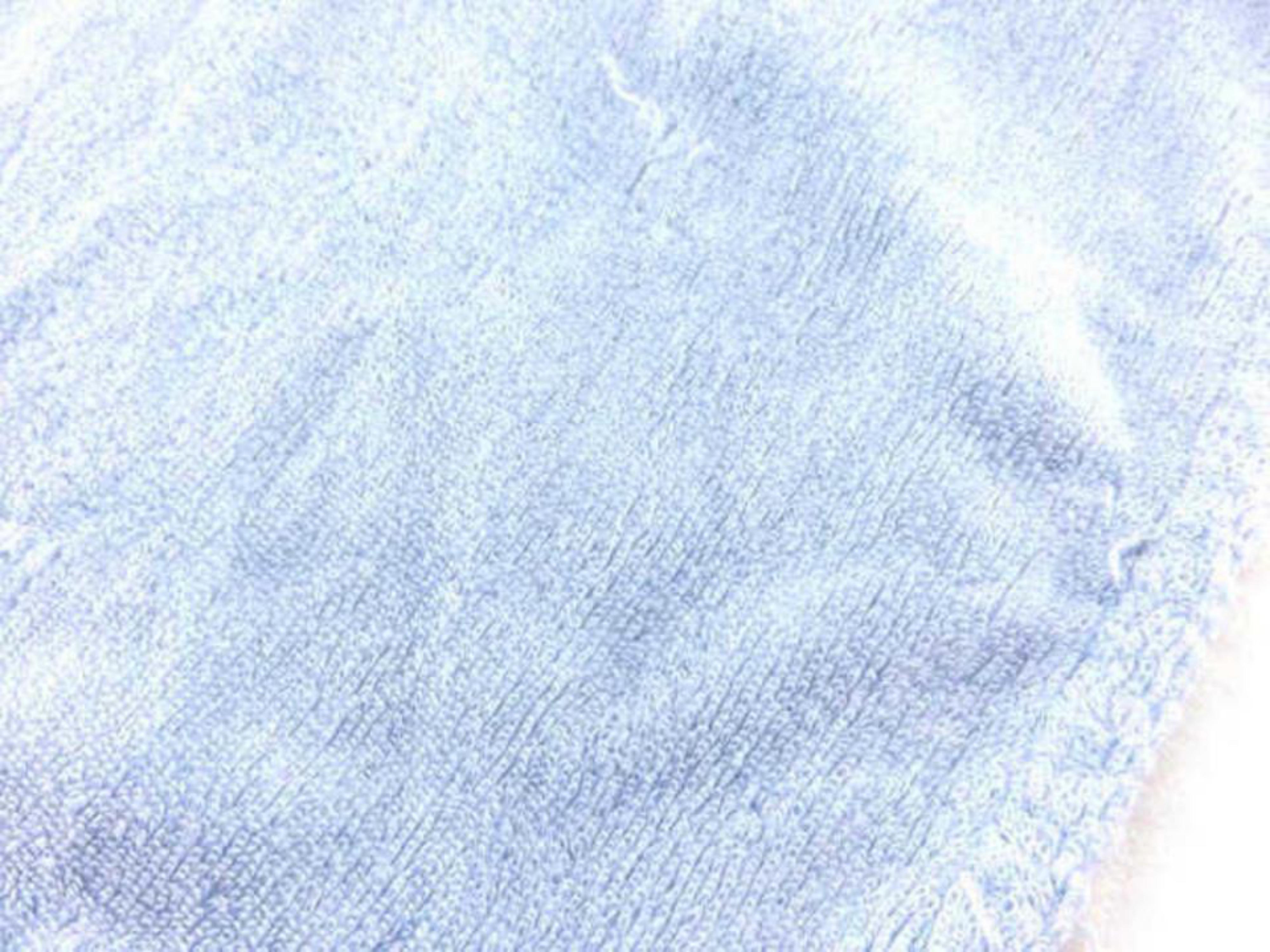 Hermès Blue Light Horse Logo Towel 232502 im Angebot 1