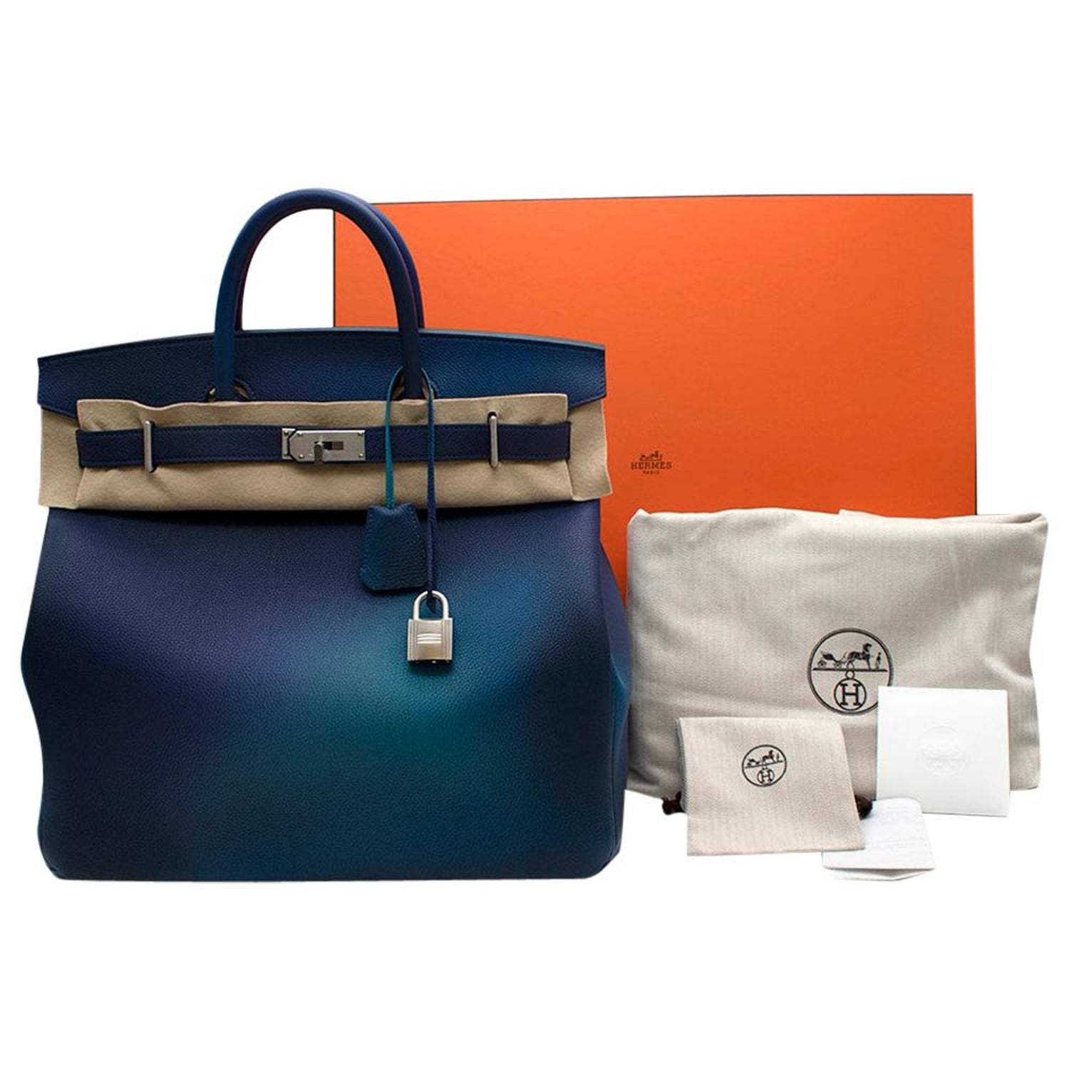 Hermès Birkin 25 Ombre Lizard Palladium Hardware - Very Rare – ZAK BAGS ©️