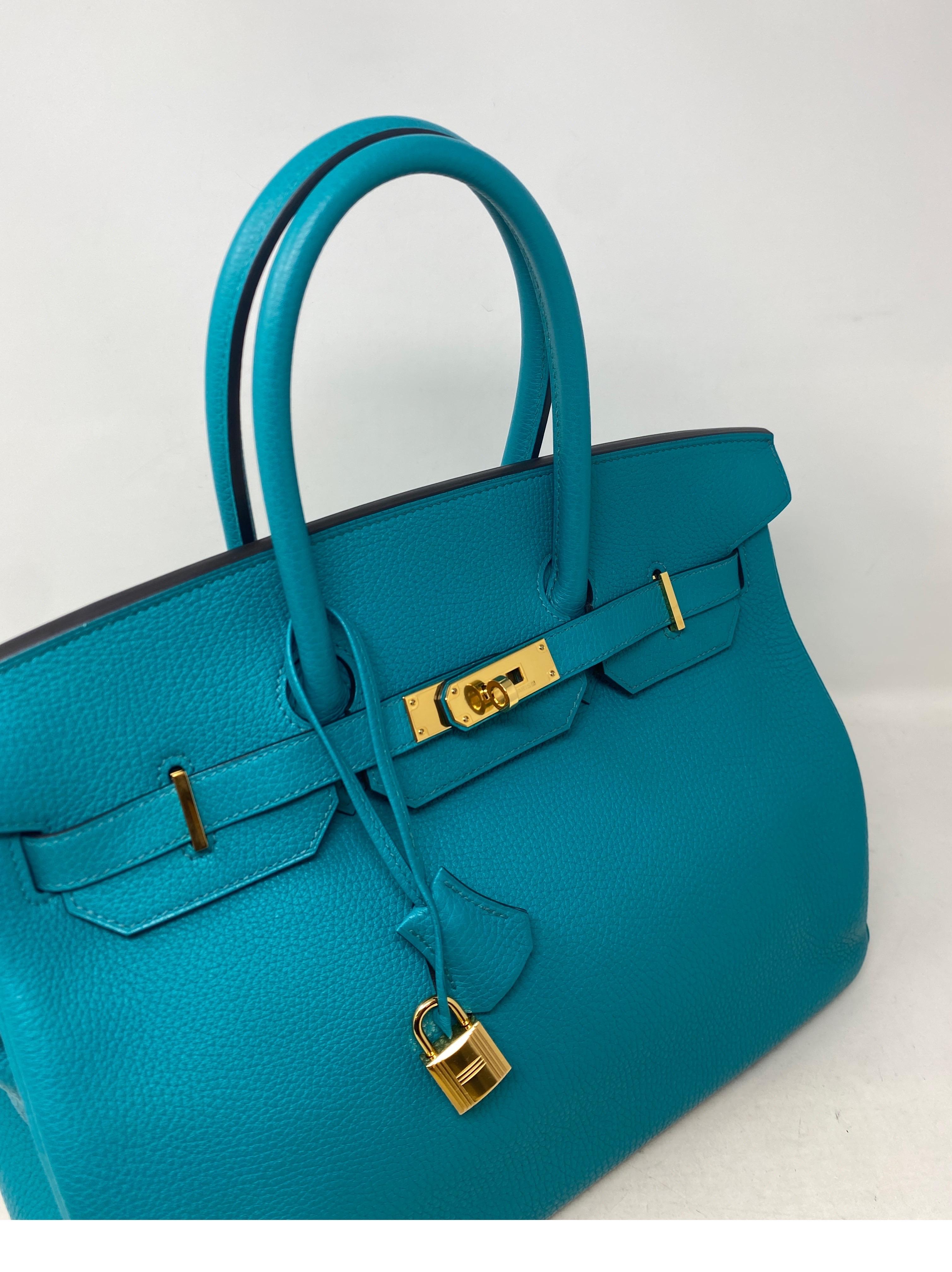 teal birkin bag