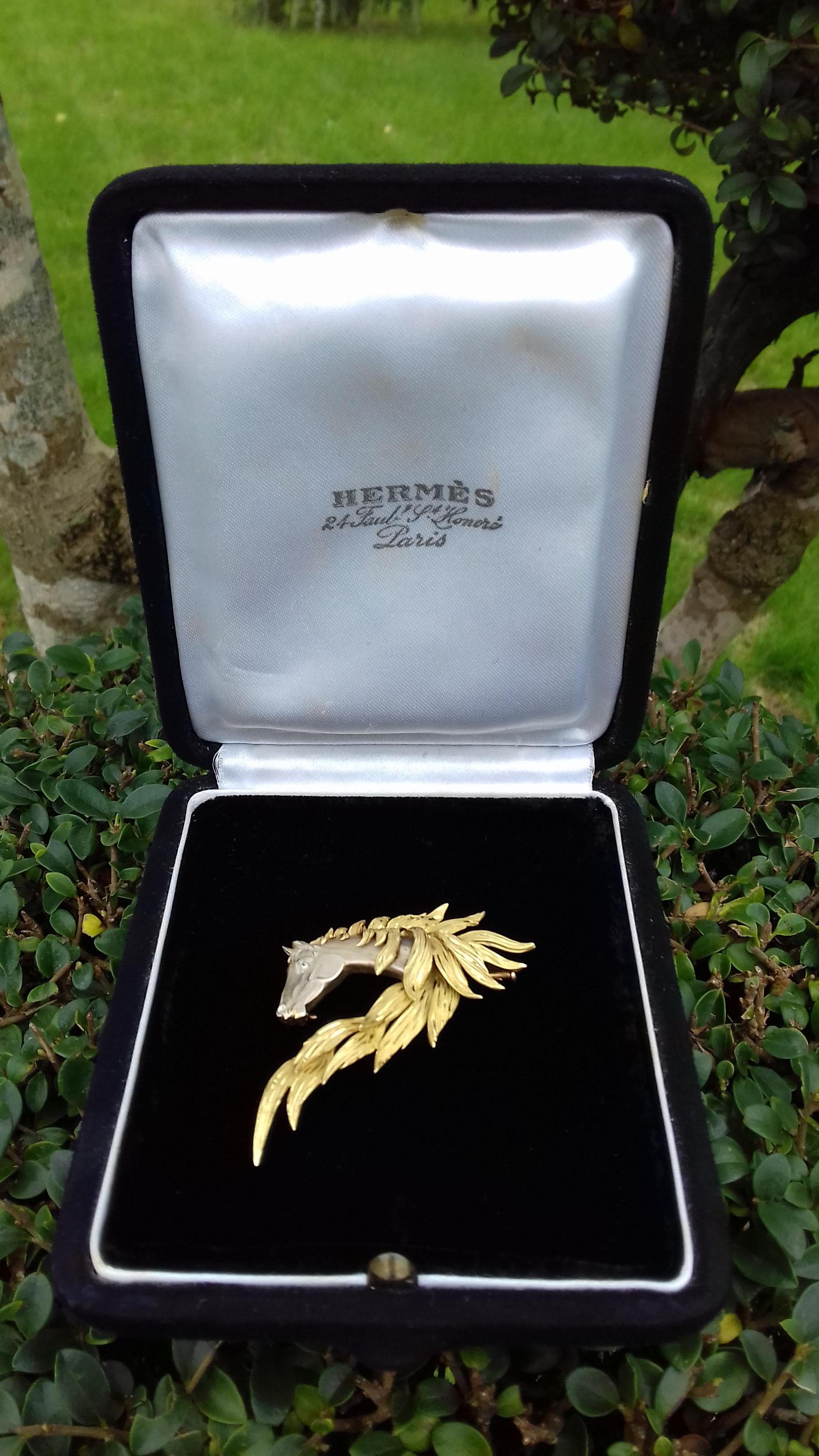 Hermès Brooch In Grey and Yellow Gold Horse Head Numbered Extremely Rare 11