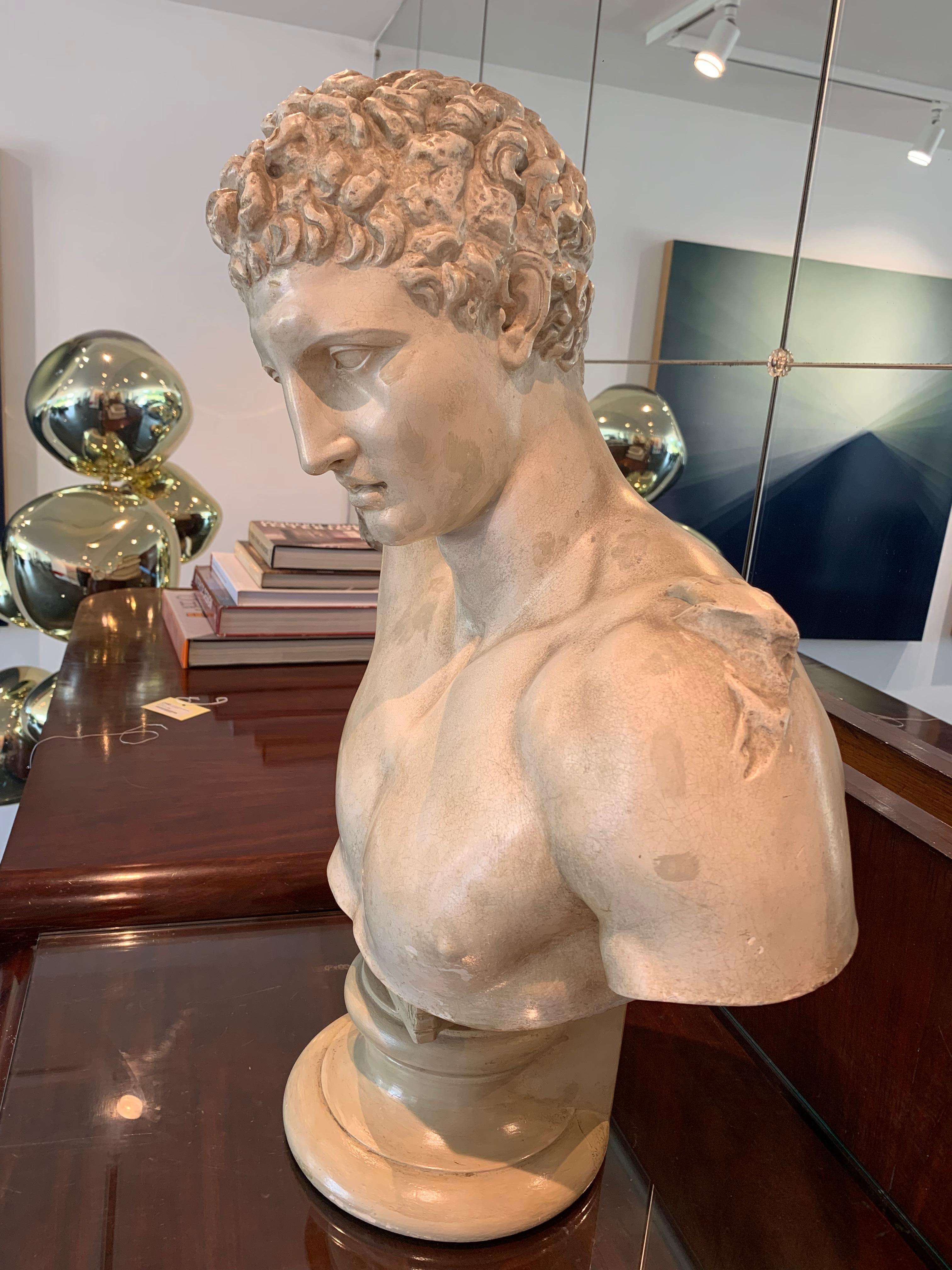 Hermes Bust from Olympia Cast by the Micheli Brothers, Berlin around 1900 For Sale 4
