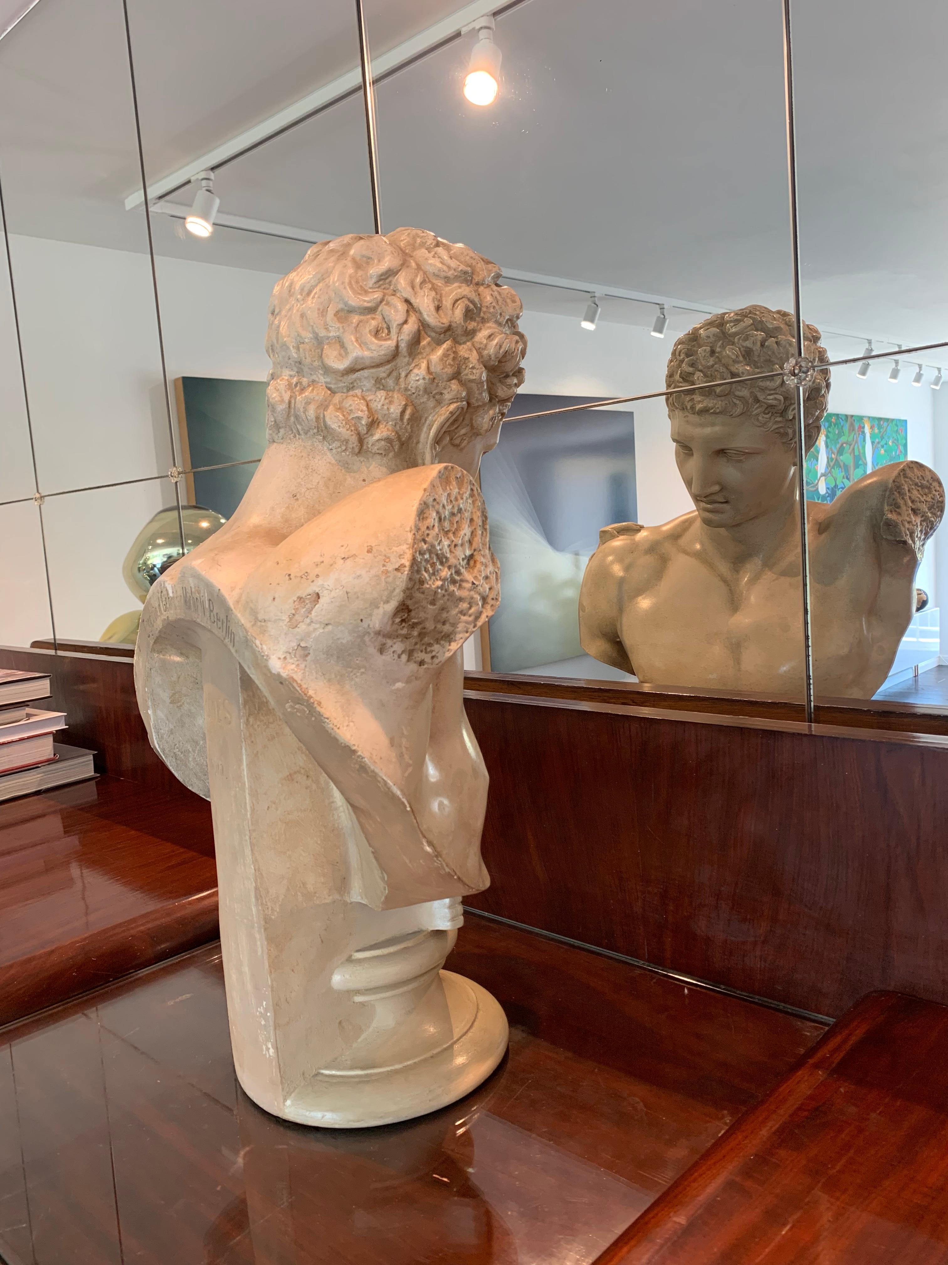 Hermes Bust from Olympia Cast by the Micheli Brothers, Berlin around 1900 For Sale 6
