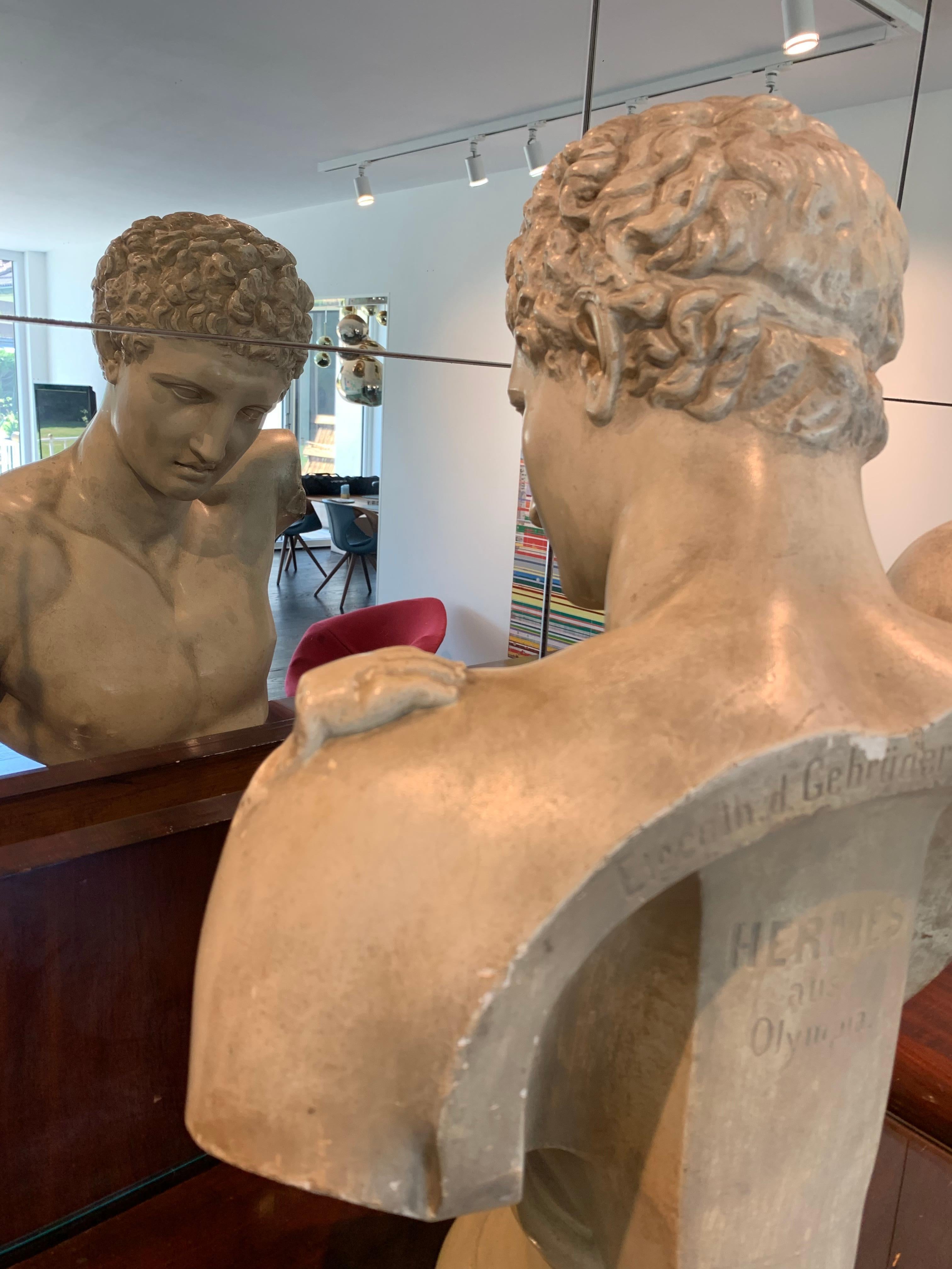 Hermes Bust from Olympia Cast by the Micheli Brothers, Berlin around 1900 For Sale 9