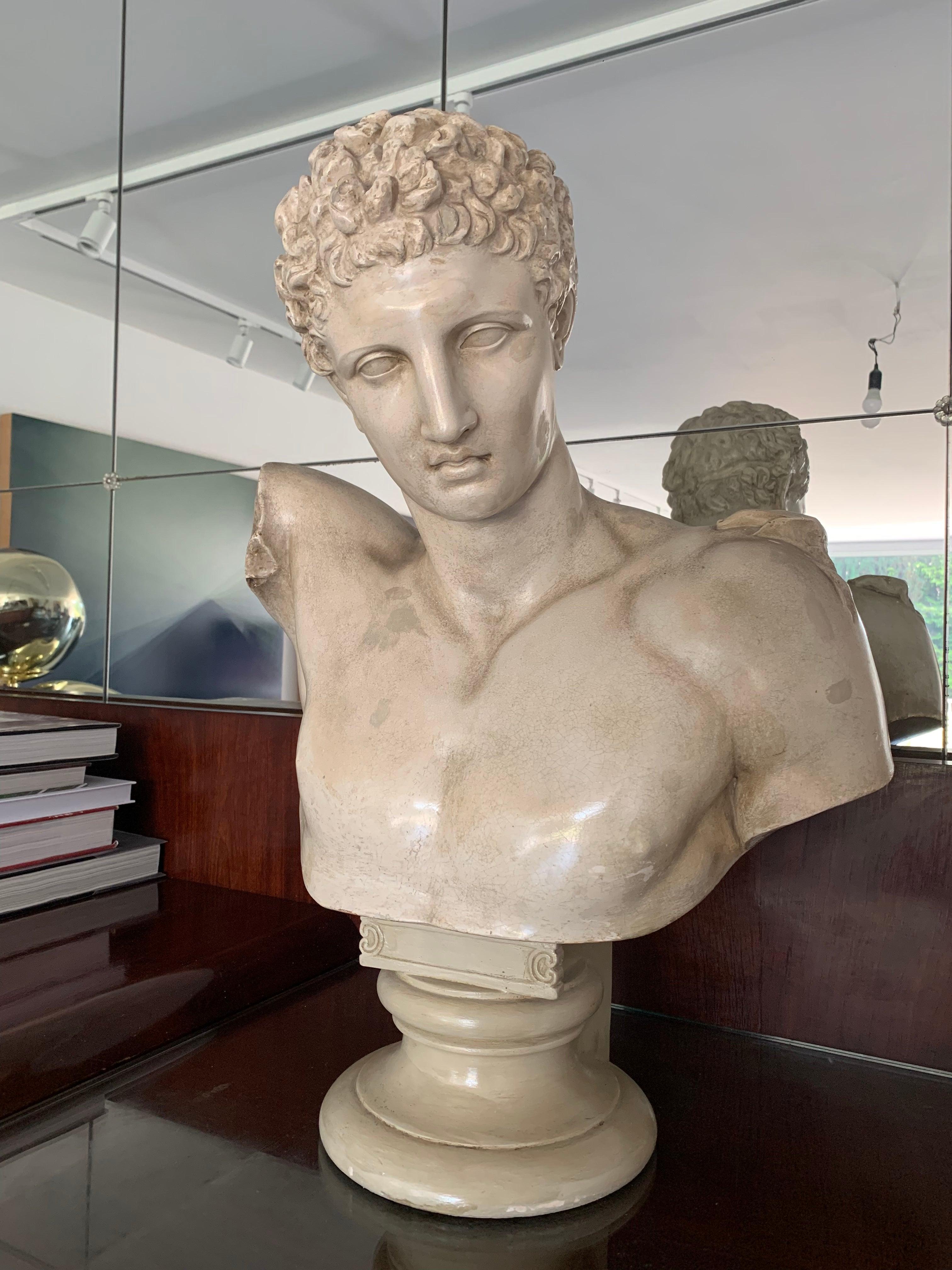 Hermes Bust from Olympia Cast by the Micheli Brothers, Berlin around 1900 For Sale 10