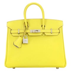 Hermes Candy Birkin Bag Epsom 25