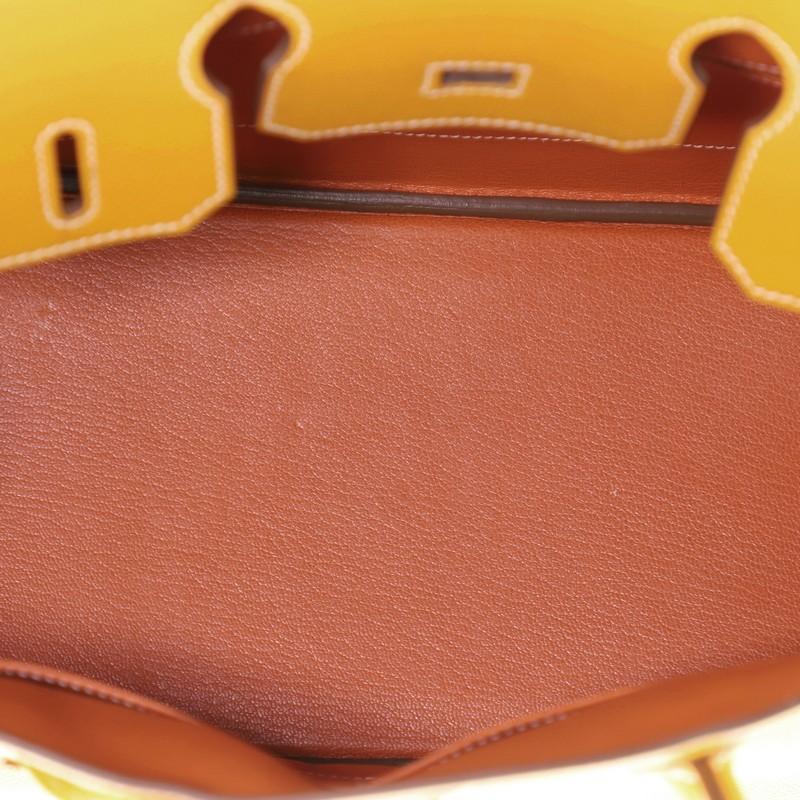 Hermes Candy Birkin Handbag Epsom 30 1