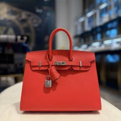 Hermès Capucine Birkin 25 Sellier Epsom Palladium Hardware