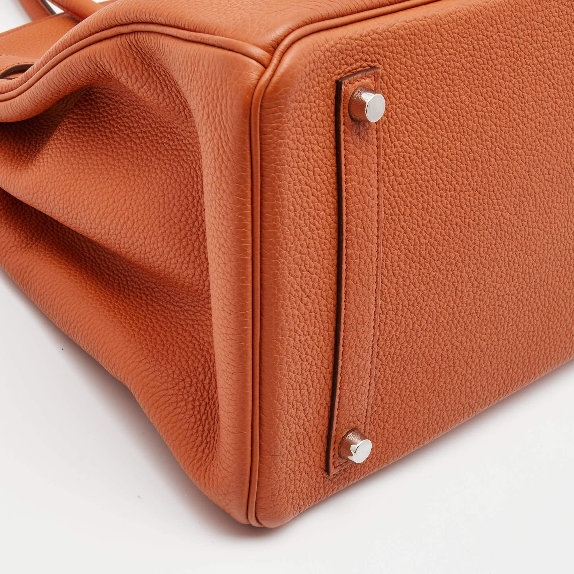 Hermes Capucine Togo Leather Palladium Finish Birkin 35 Bag 8